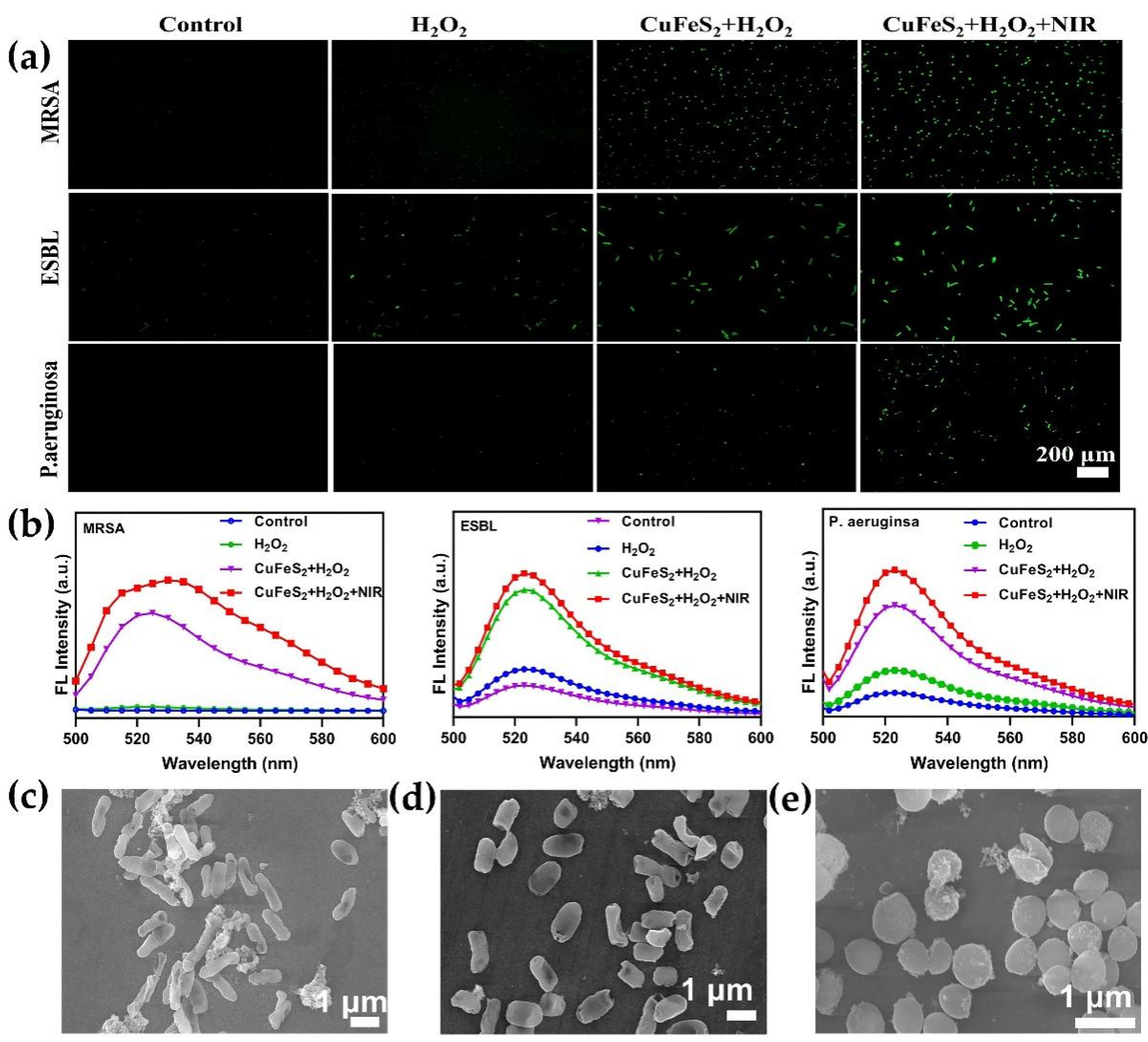 Nanomaterials 12 02469 g005