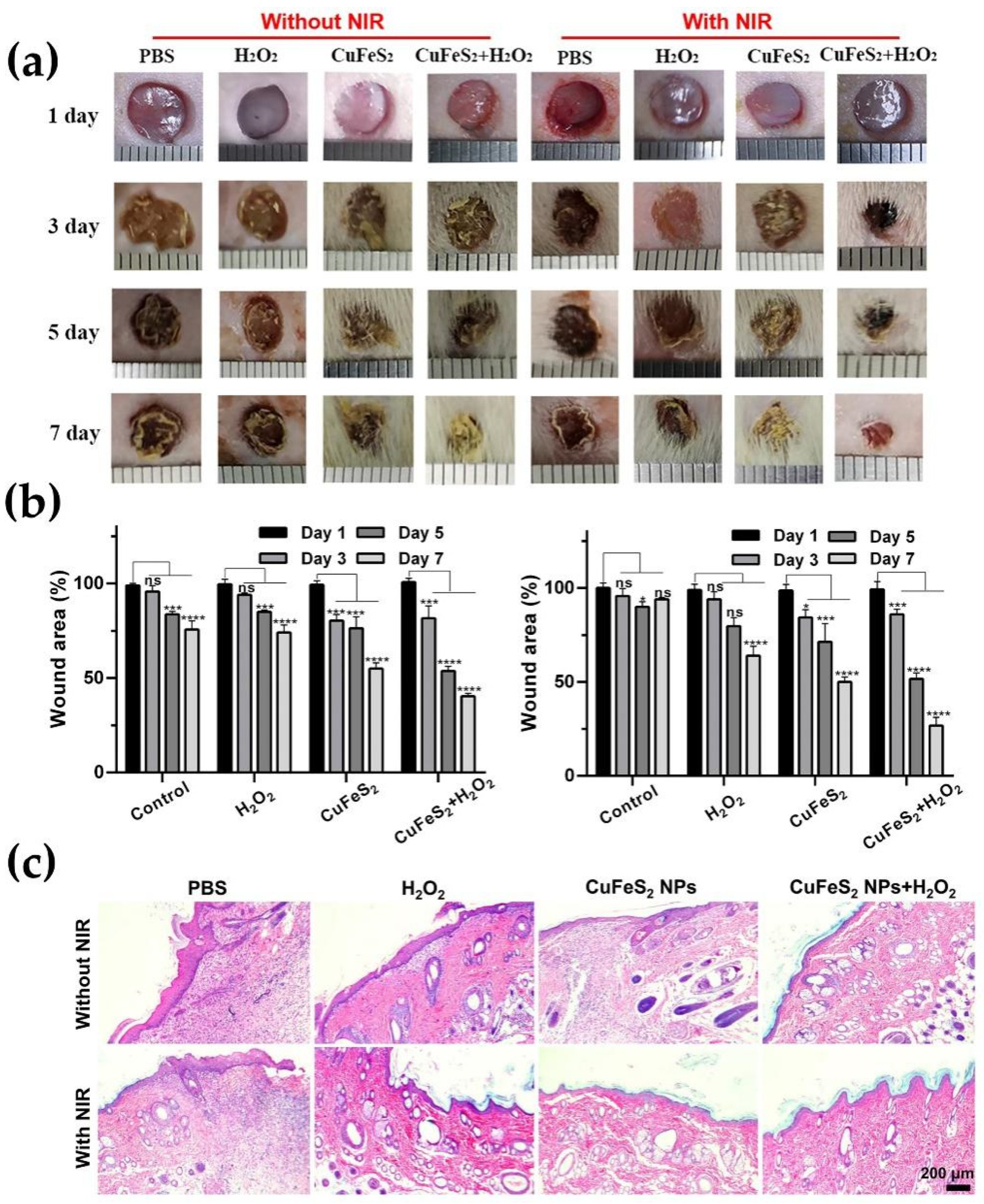 Nanomaterials 12 02469 g006