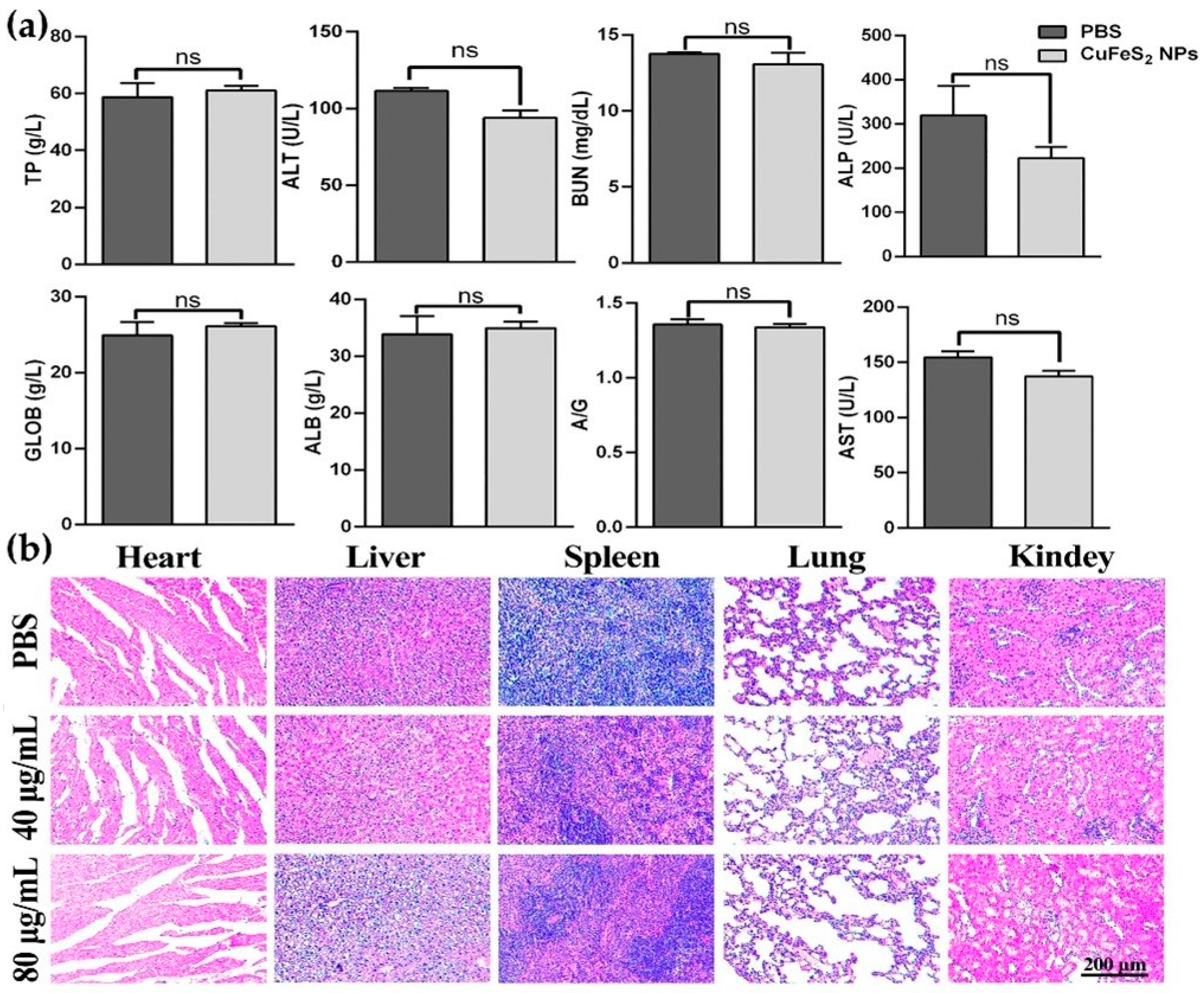 Nanomaterials 12 02469 g007
