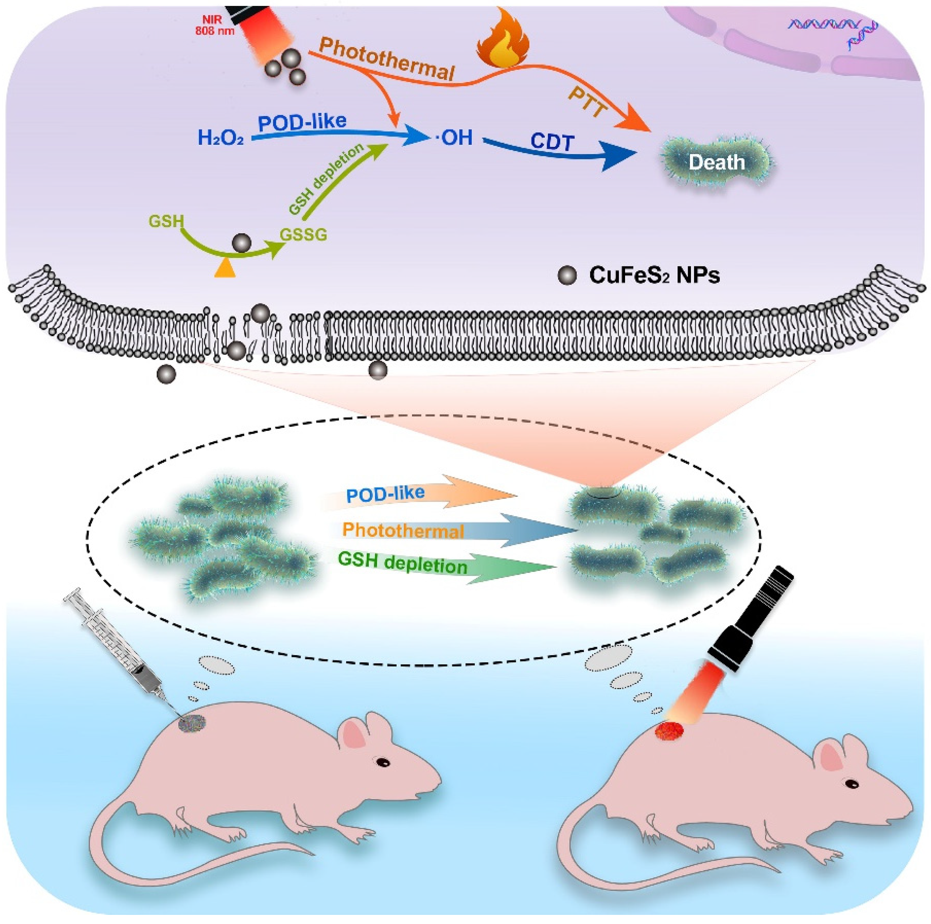 Nanomaterials 12 02469 sch001