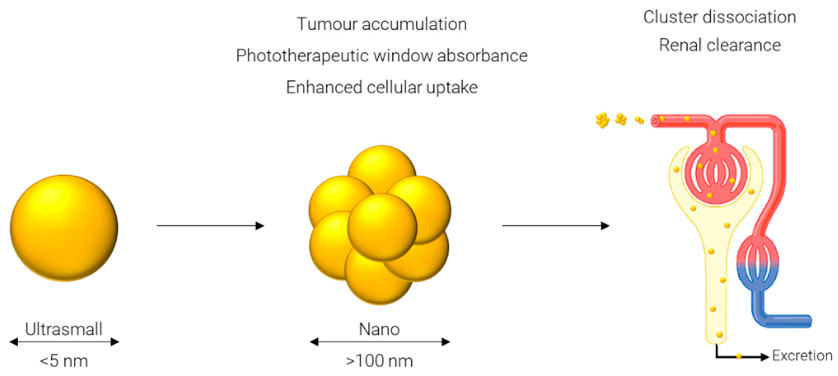 Nanomaterials 12 02476 g004