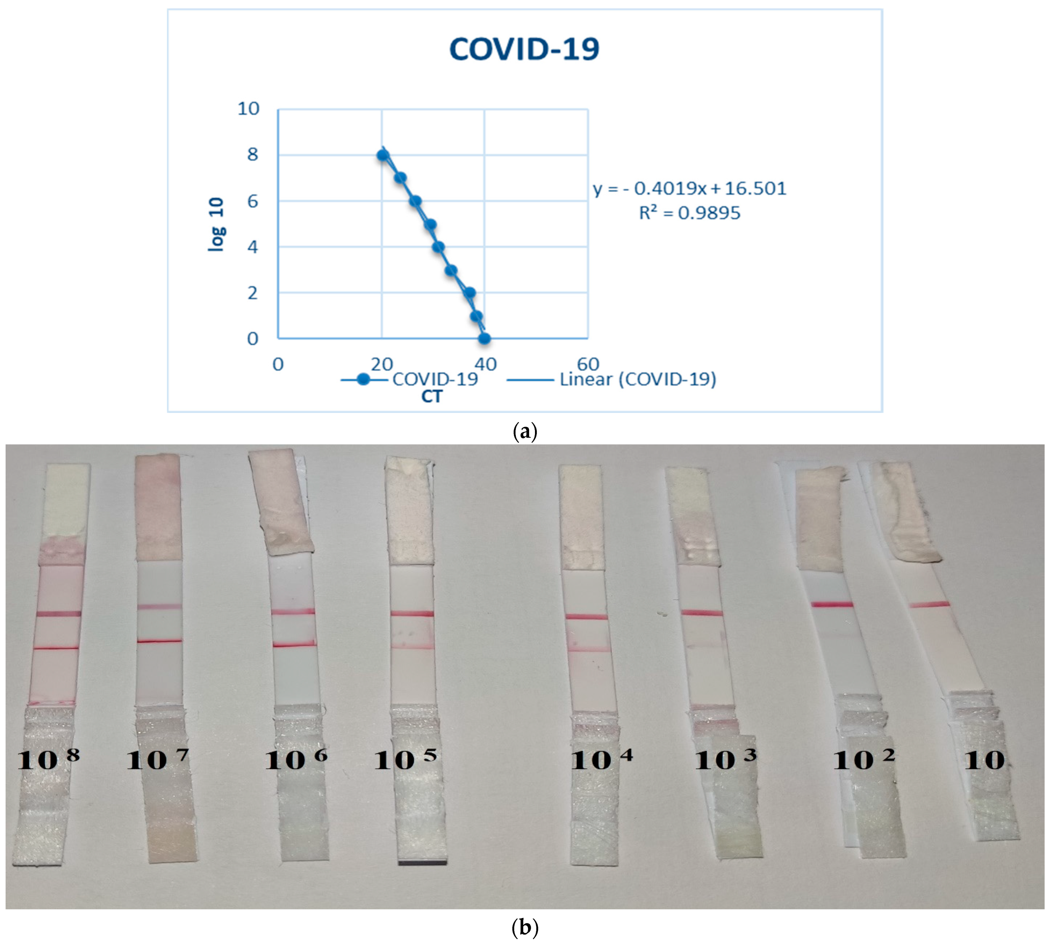 Nanomaterials 12 02477 g003