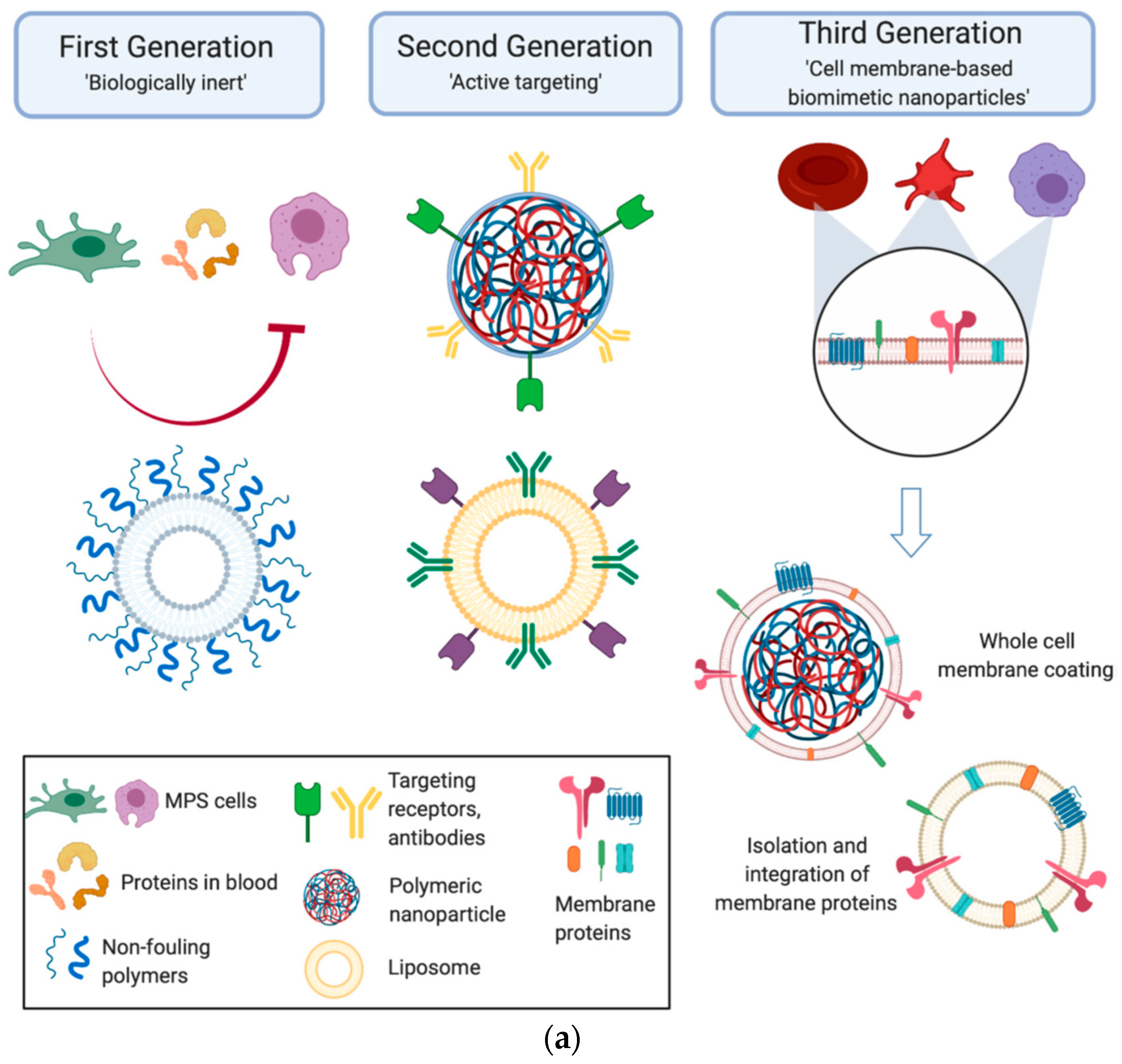 Nanomaterials 12 02485 g001a