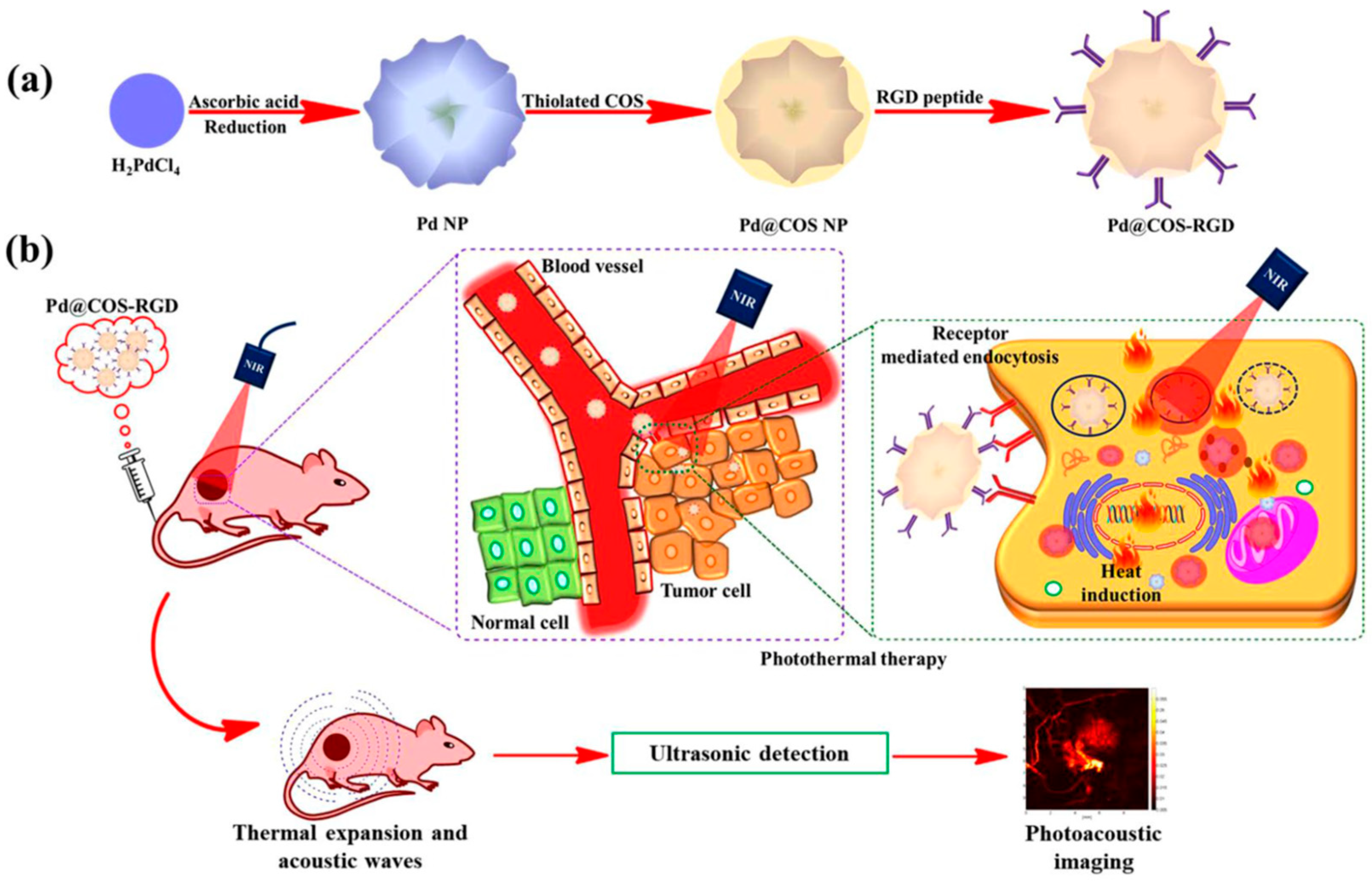 Nanomaterials 12 02485 g003