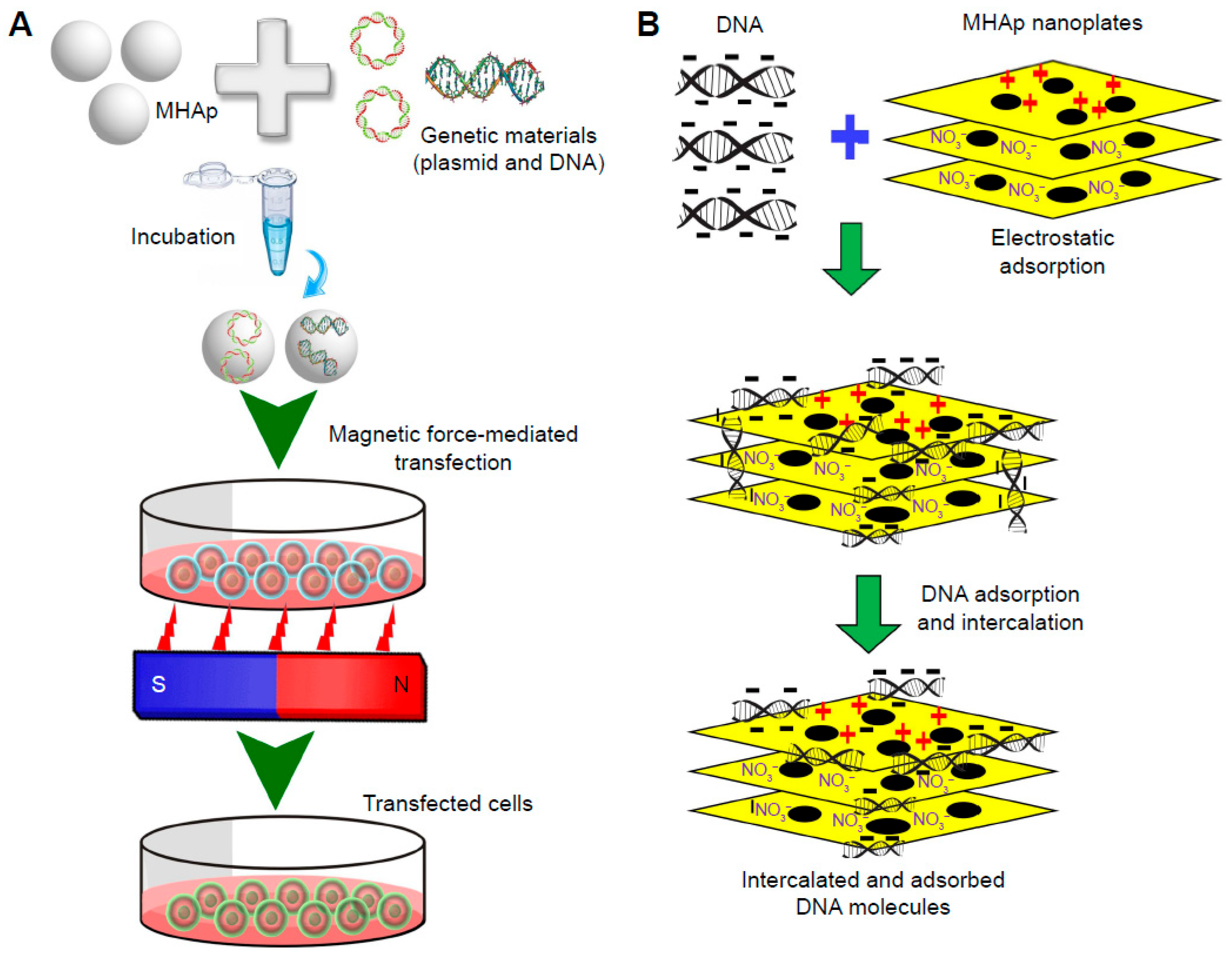 Nanomaterials 12 02485 g007