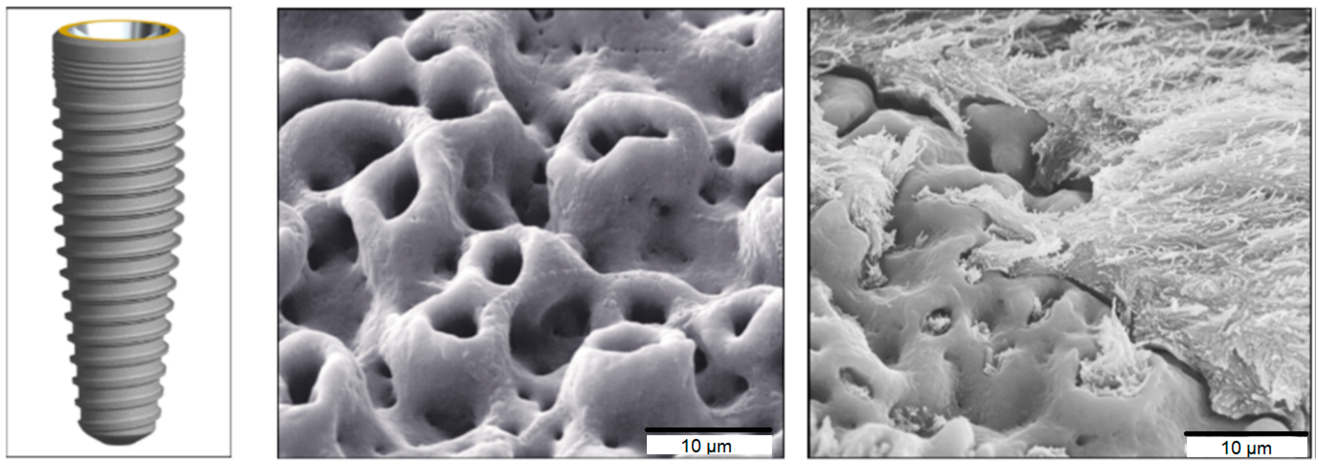 Nanomaterials 12 02485 g008
