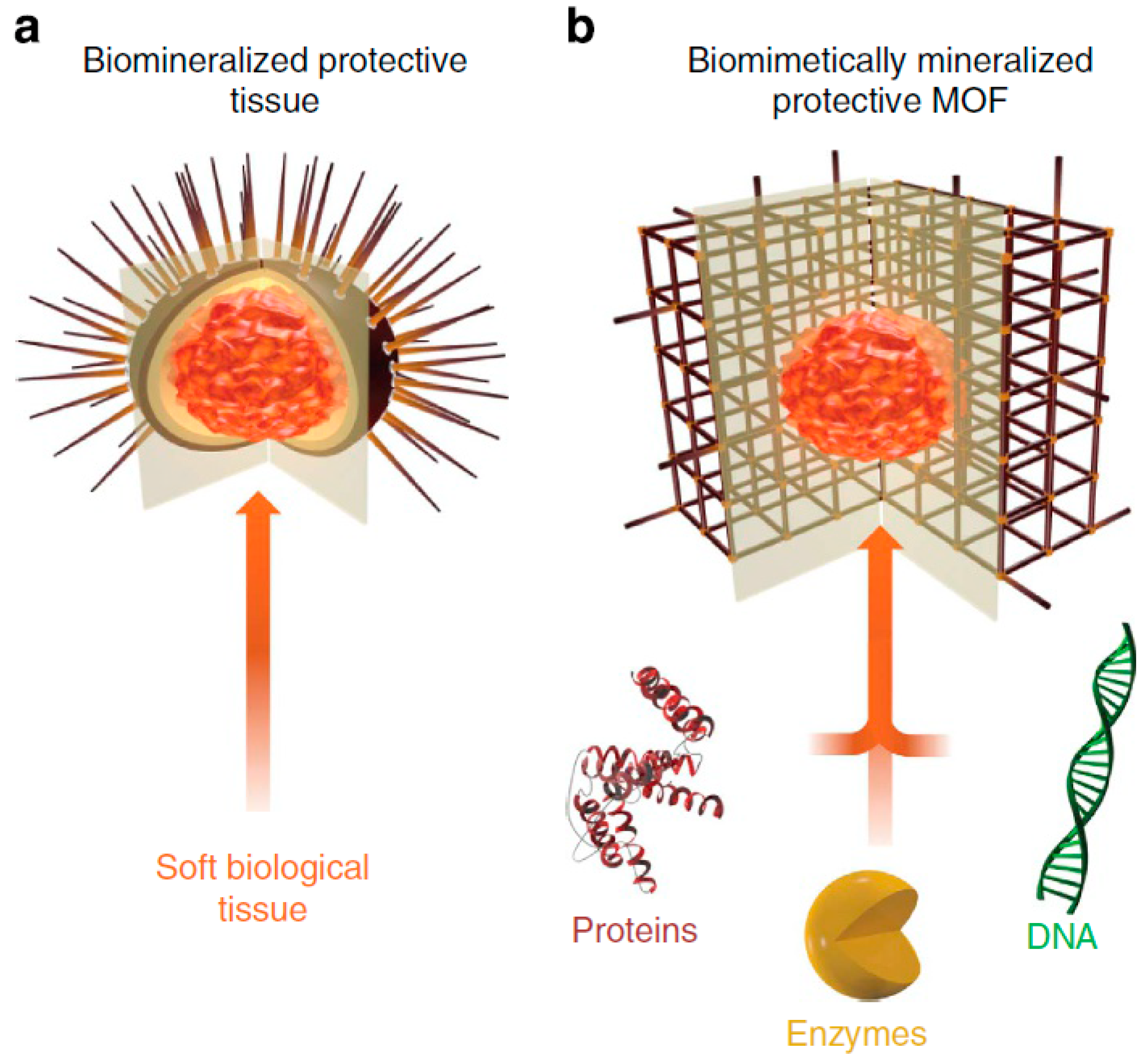 Nanomaterials 12 02485 g010