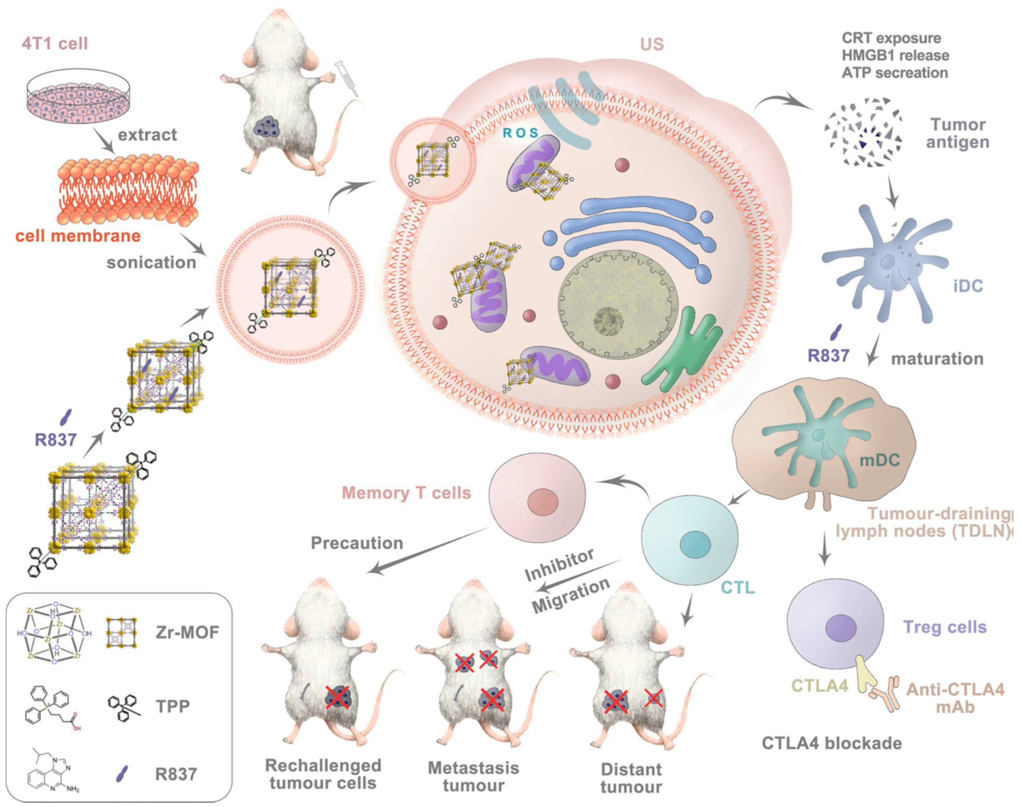 Nanomaterials 12 02485 g011