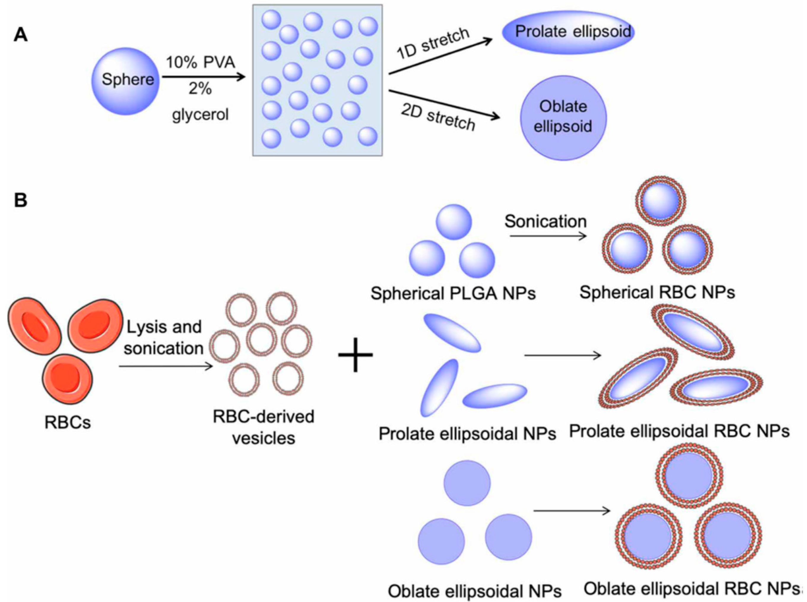 Nanomaterials 12 02485 g012