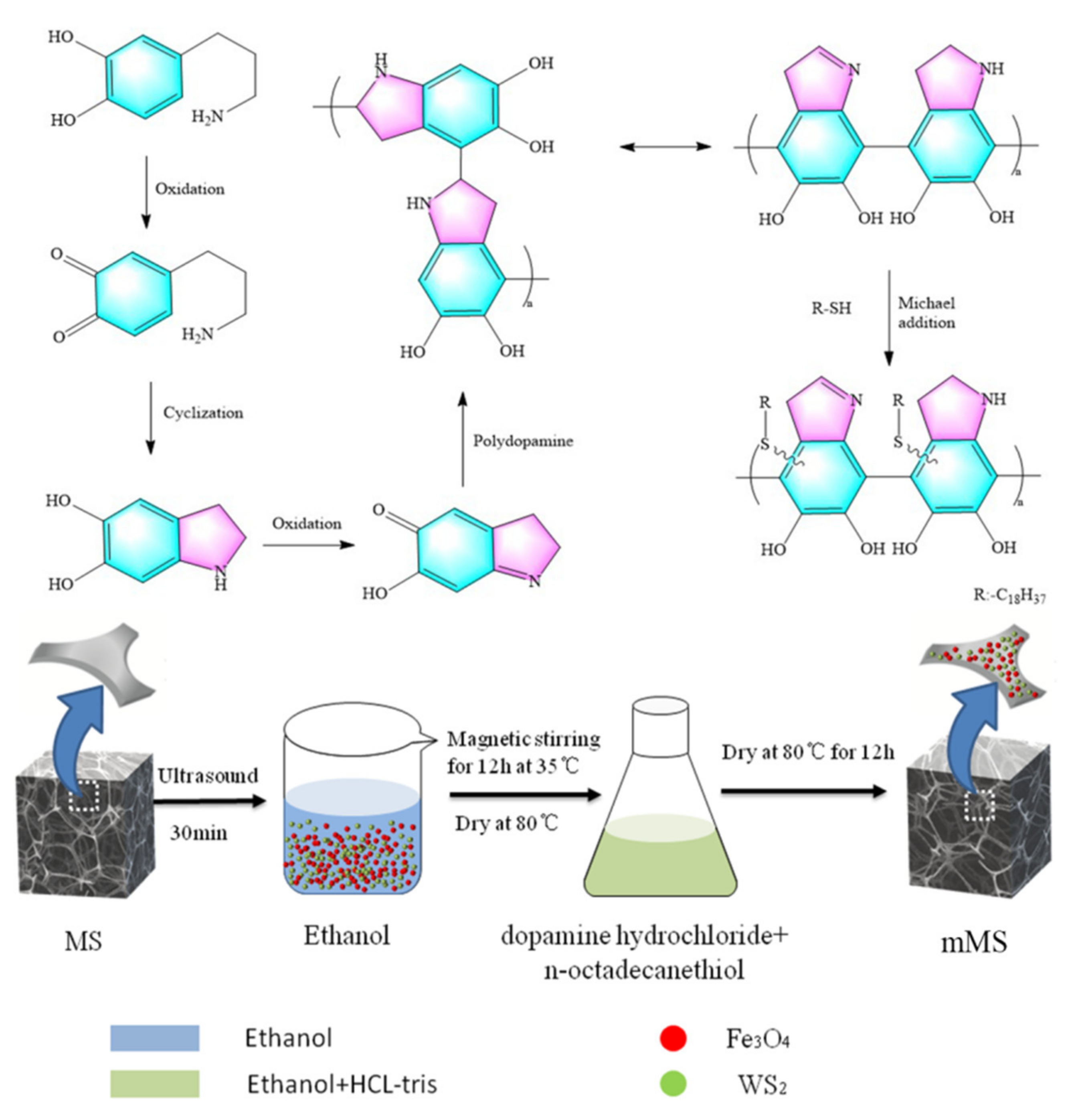 Nanomaterials 12 02488 g001
