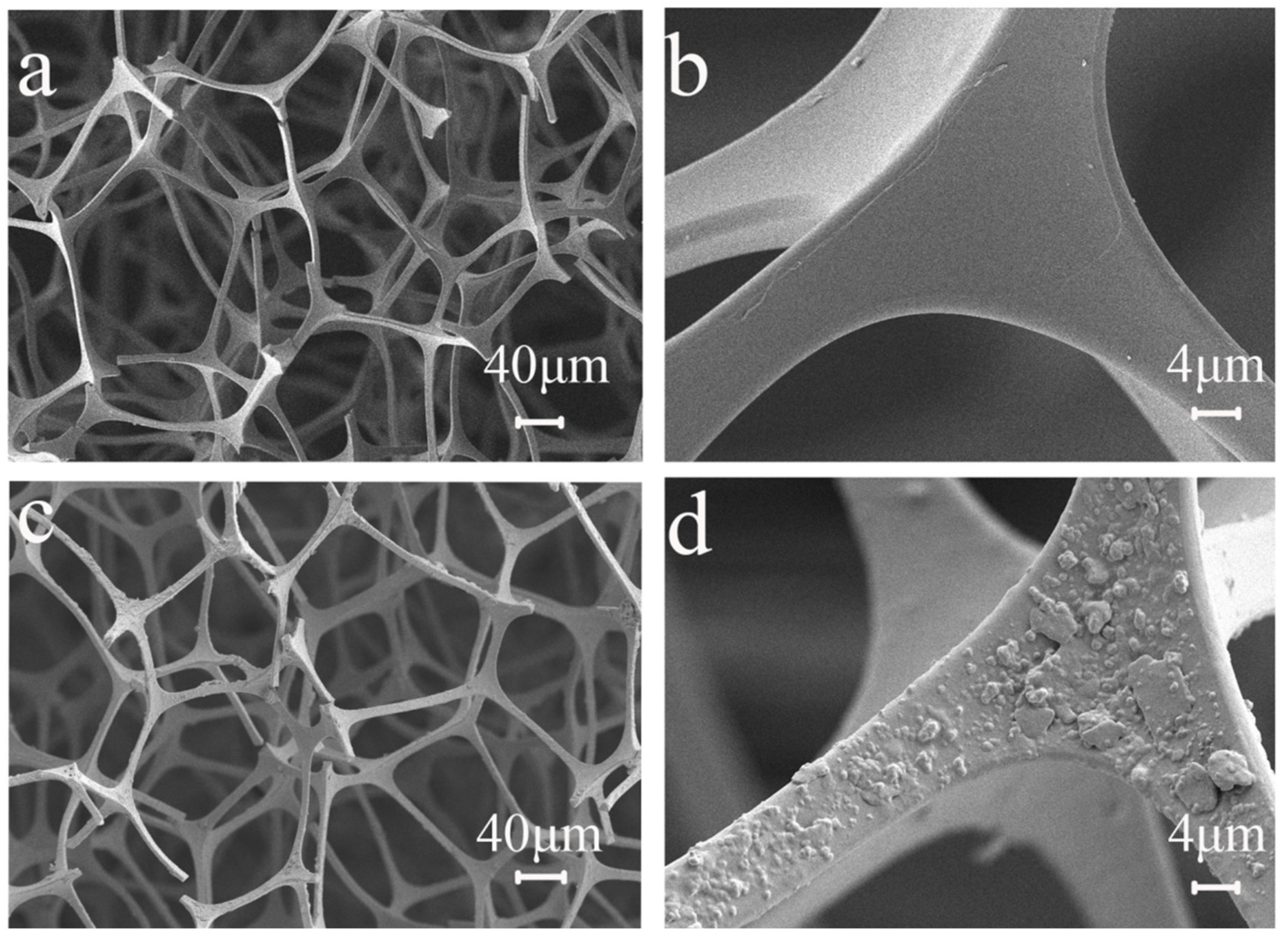 Nanomaterials 12 02488 g002
