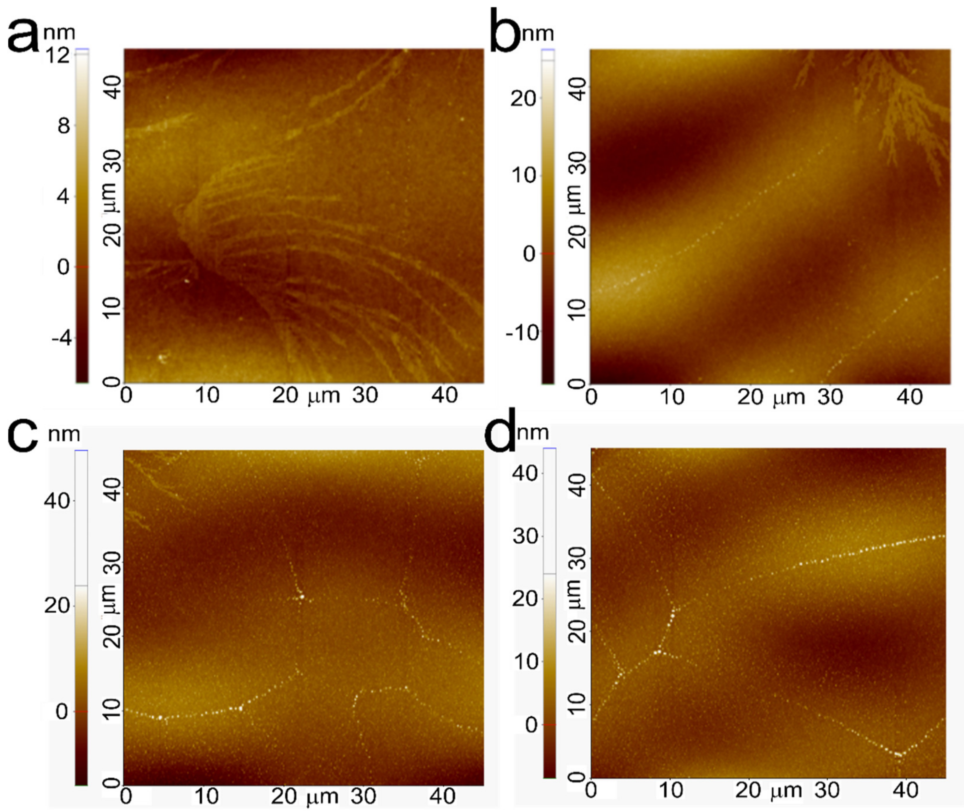 Nanomaterials 12 02497 g009