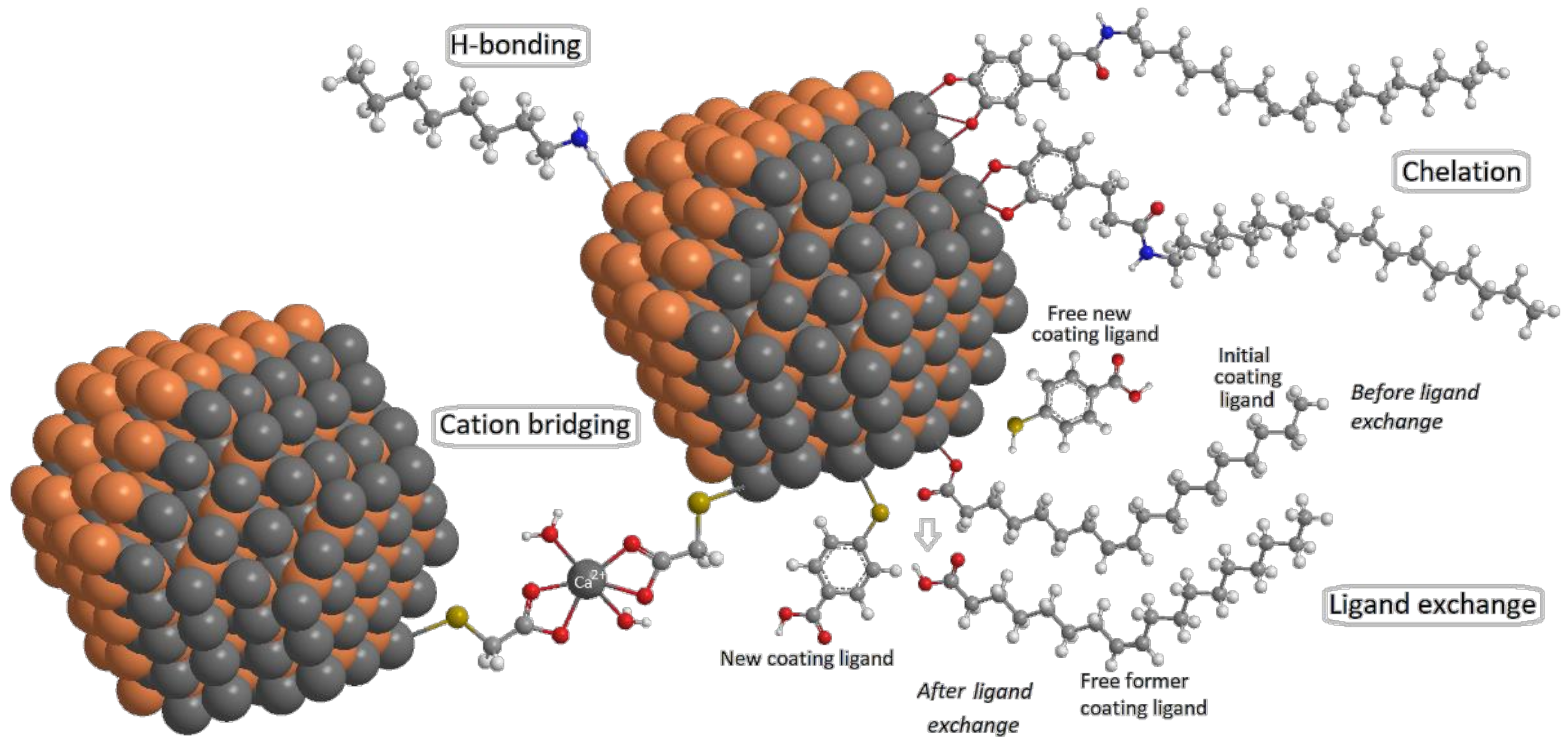 Nanomaterials 12 02501 g003