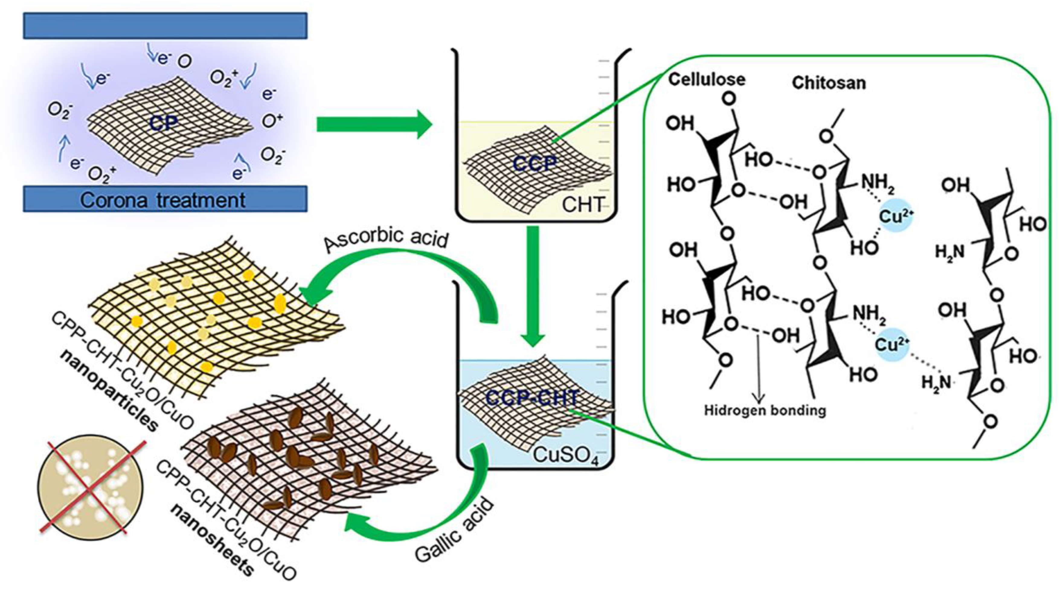 Nanomaterials 12 02539 g001