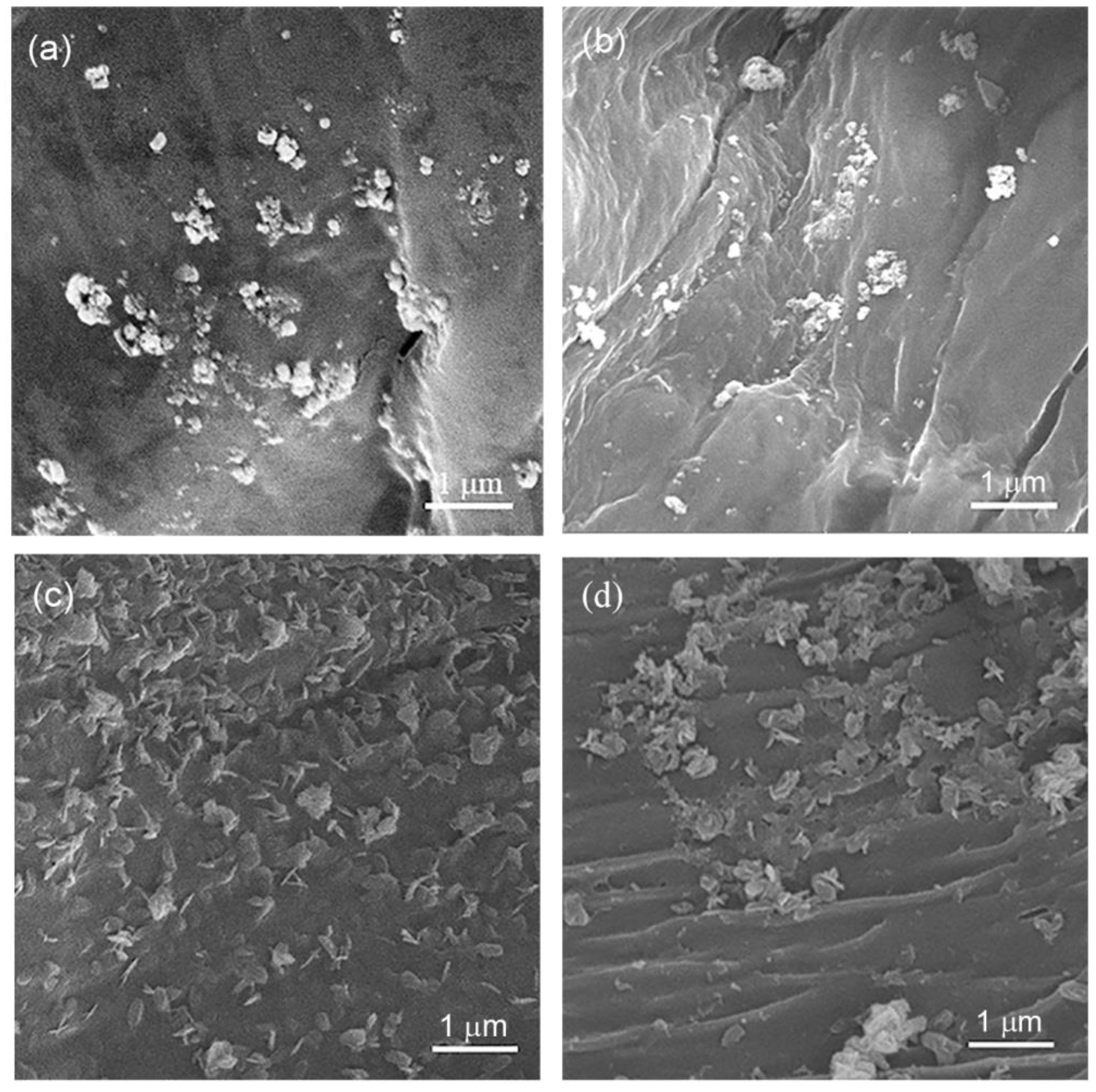 Nanomaterials 12 02539 g003