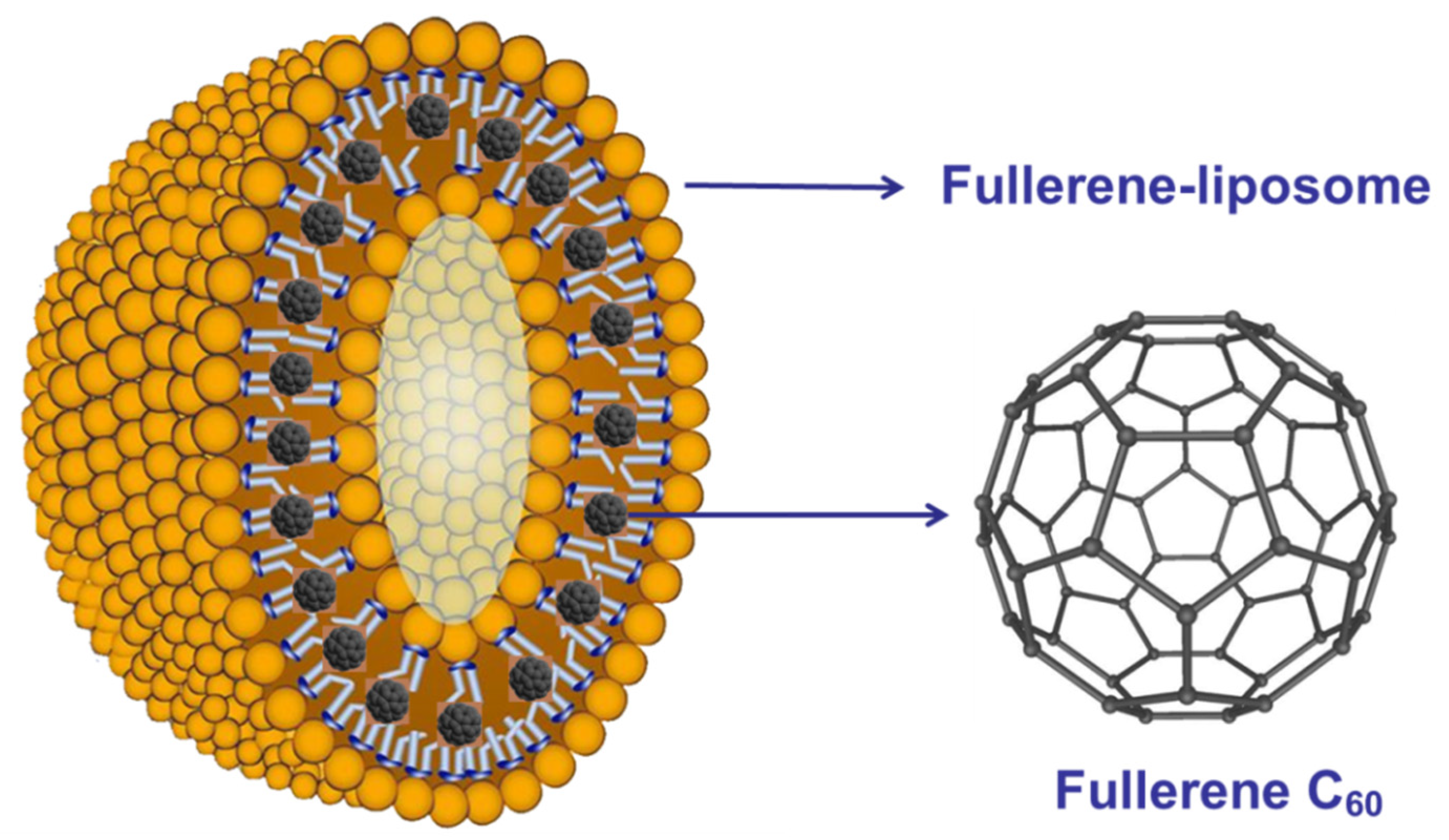Nanomaterials 12 02547 g021