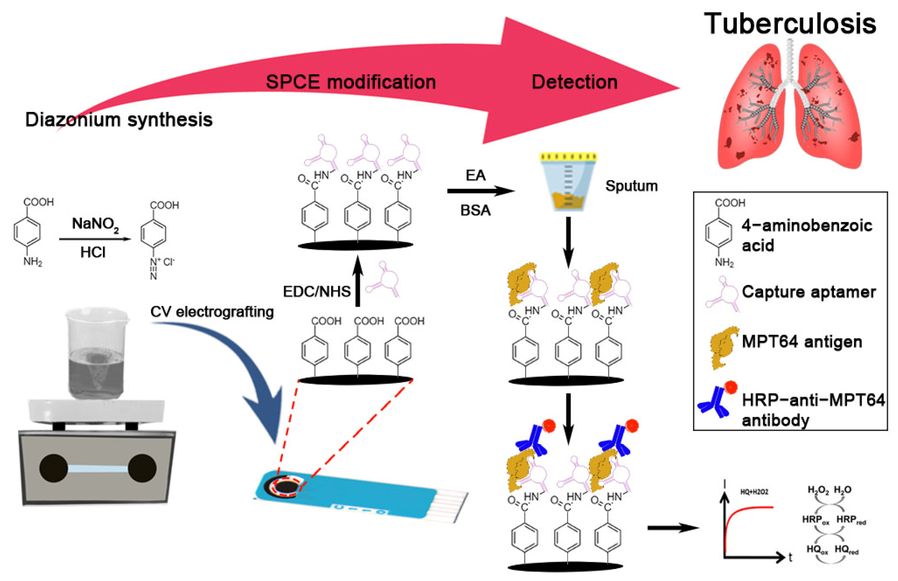 Nanomaterials 12 02551 g001