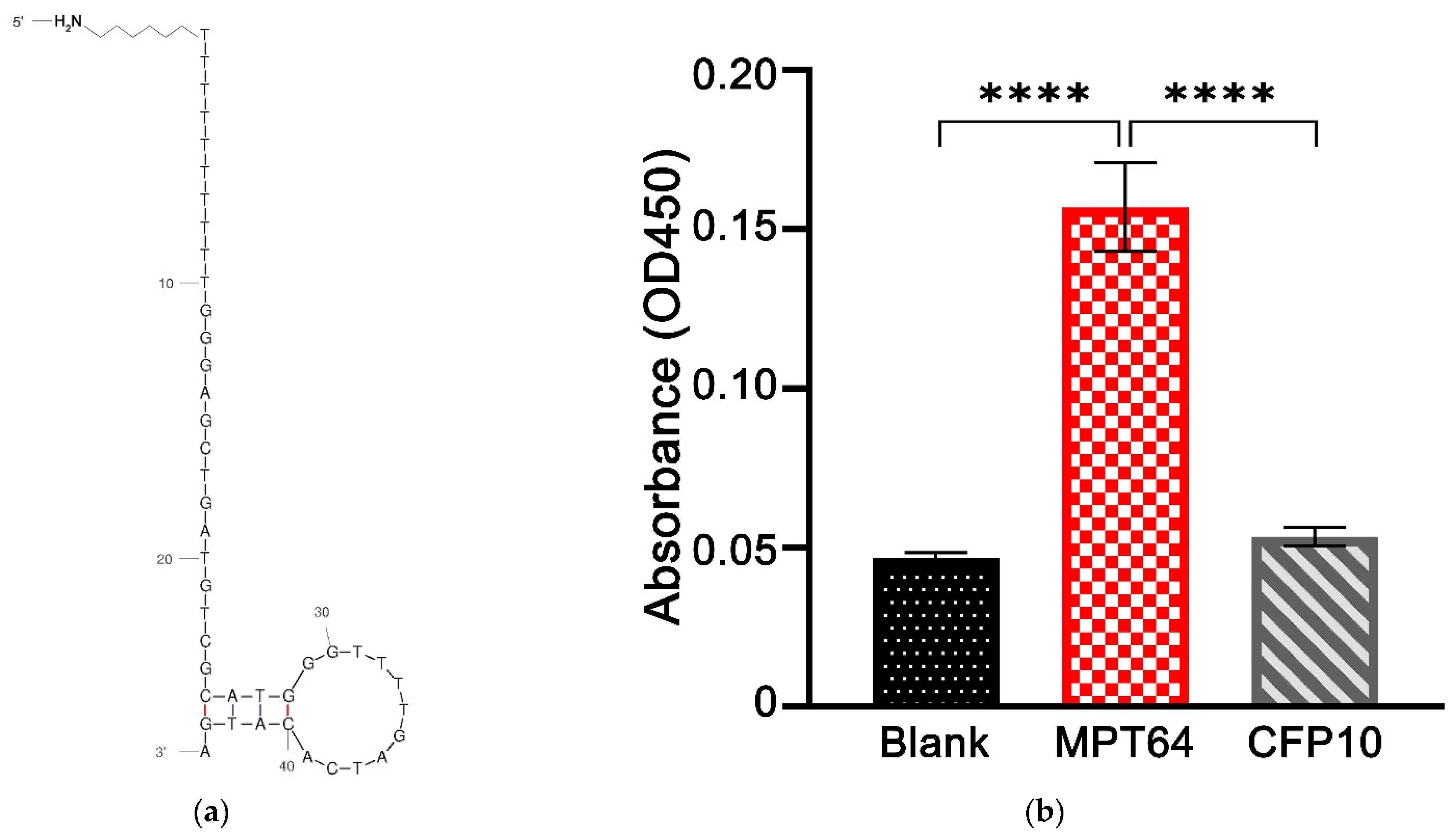 Nanomaterials 12 02551 g002