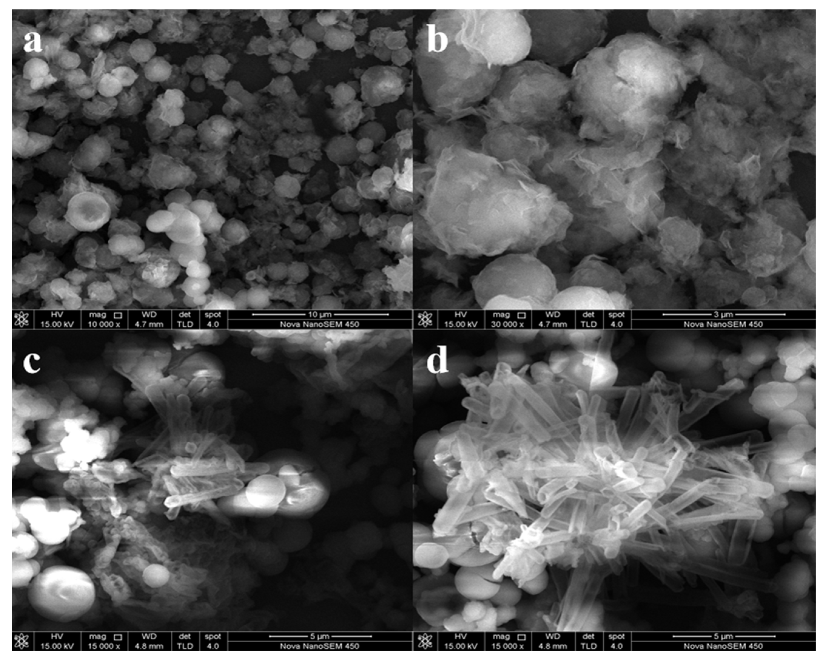 Nanomaterials 12 02569 g004