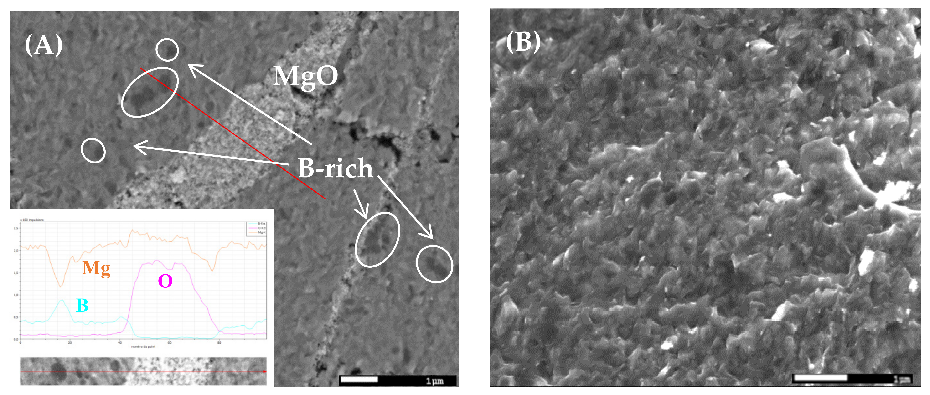 Nanomaterials 12 02583 g002