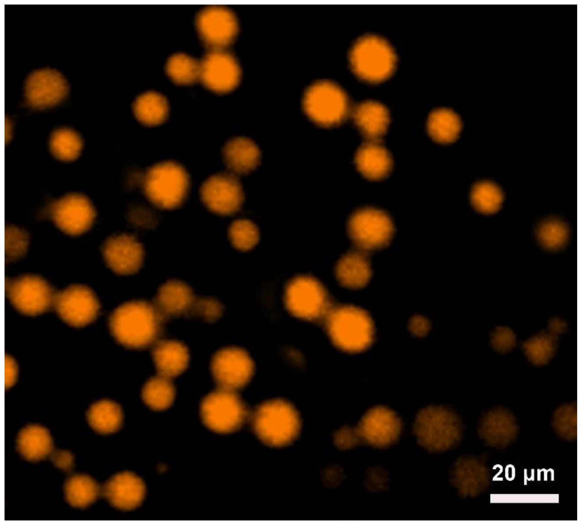 Nanomaterials 12 02587 g006