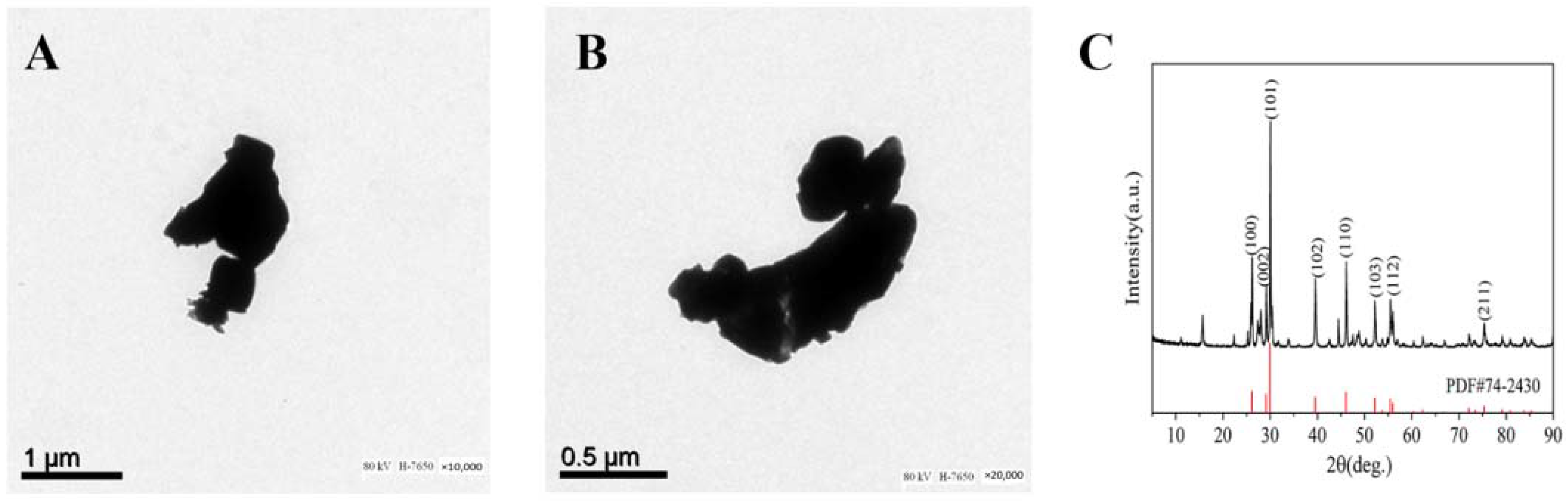 Nanomaterials 12 02594 g001 Nanomaterials 12 02594 g001