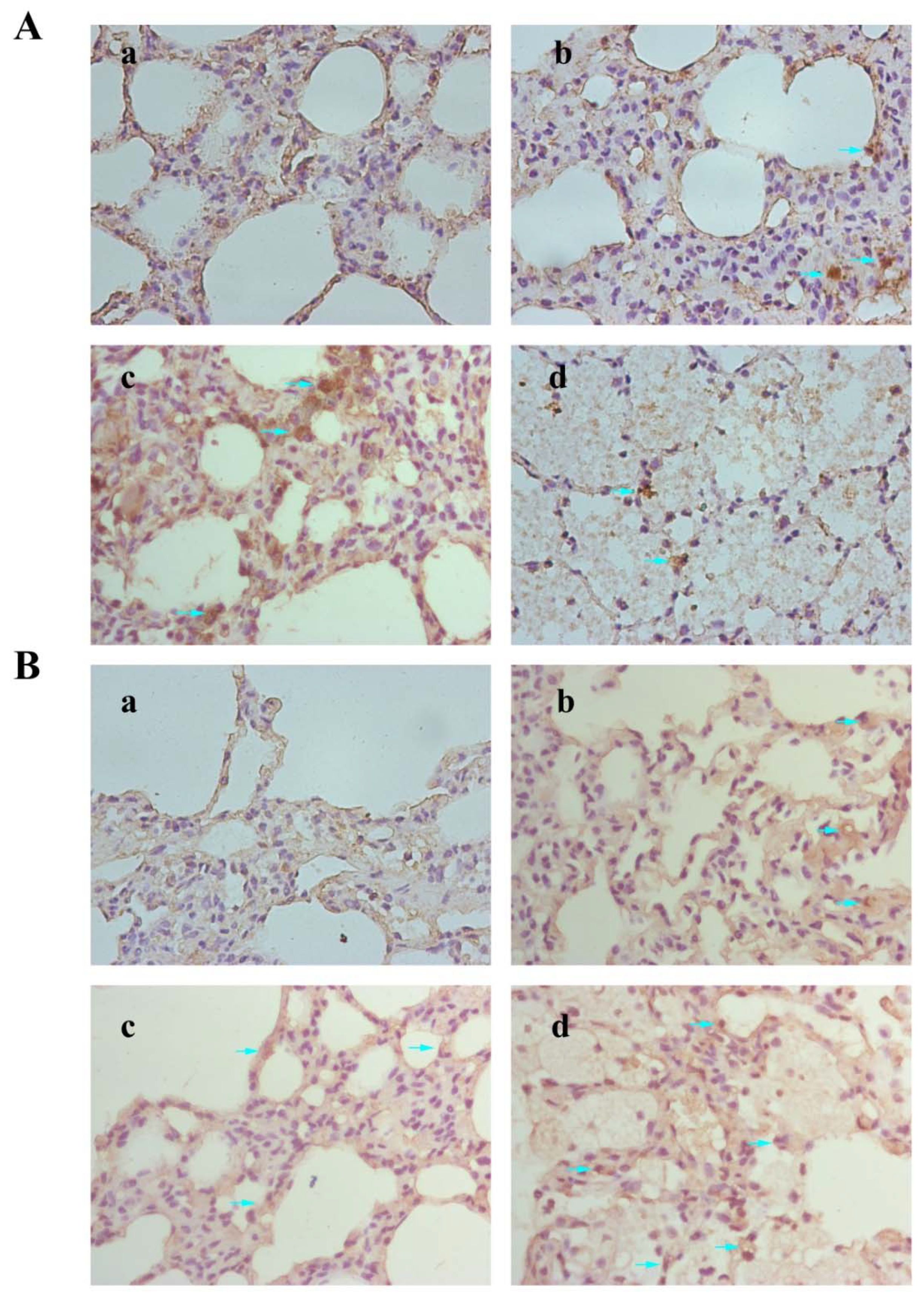 Nanomaterials 12 02594 g008 Nanomaterials 12 02594 g008
