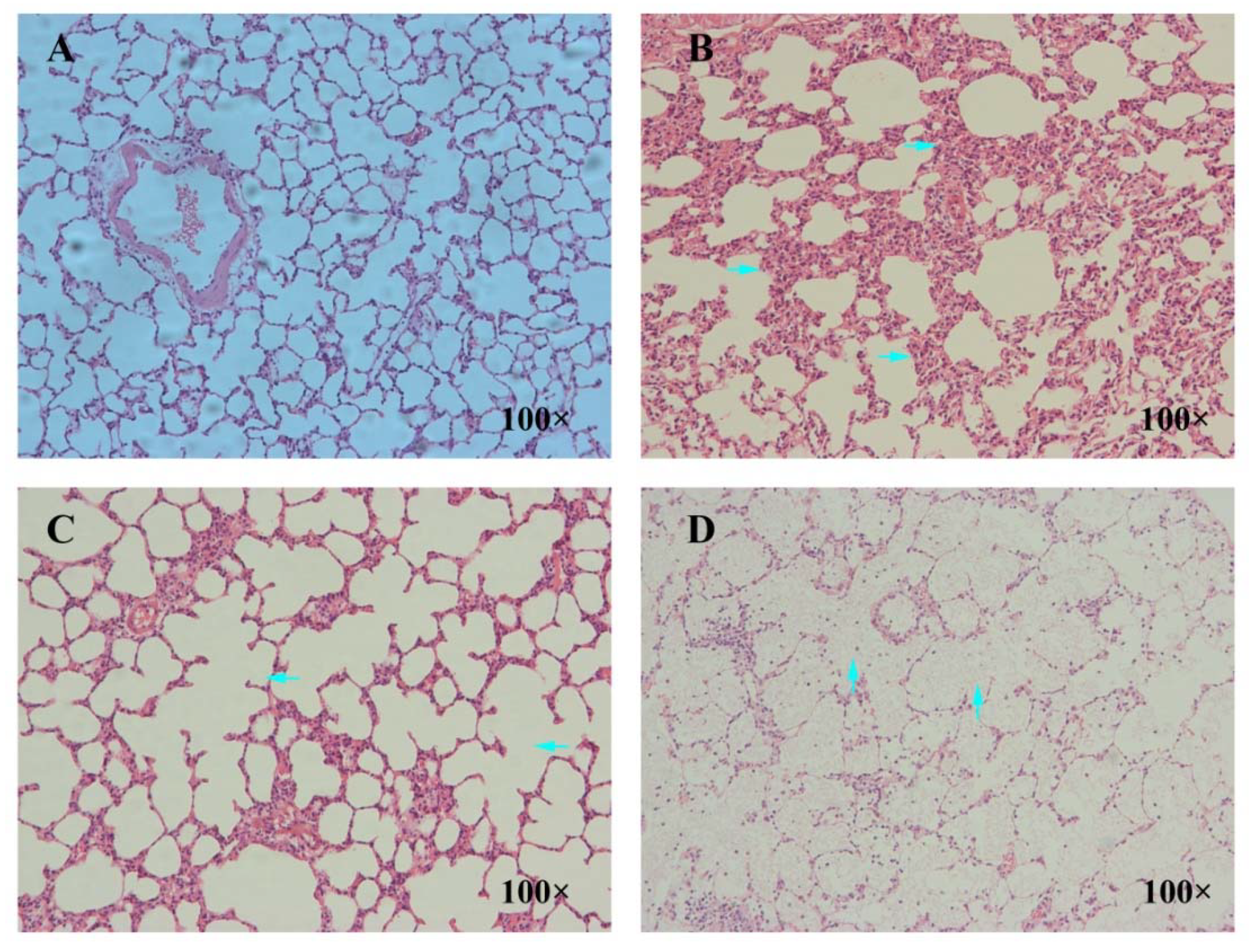 Nanomaterials 12 02594 g009 Nanomaterials 12 02594 g009
