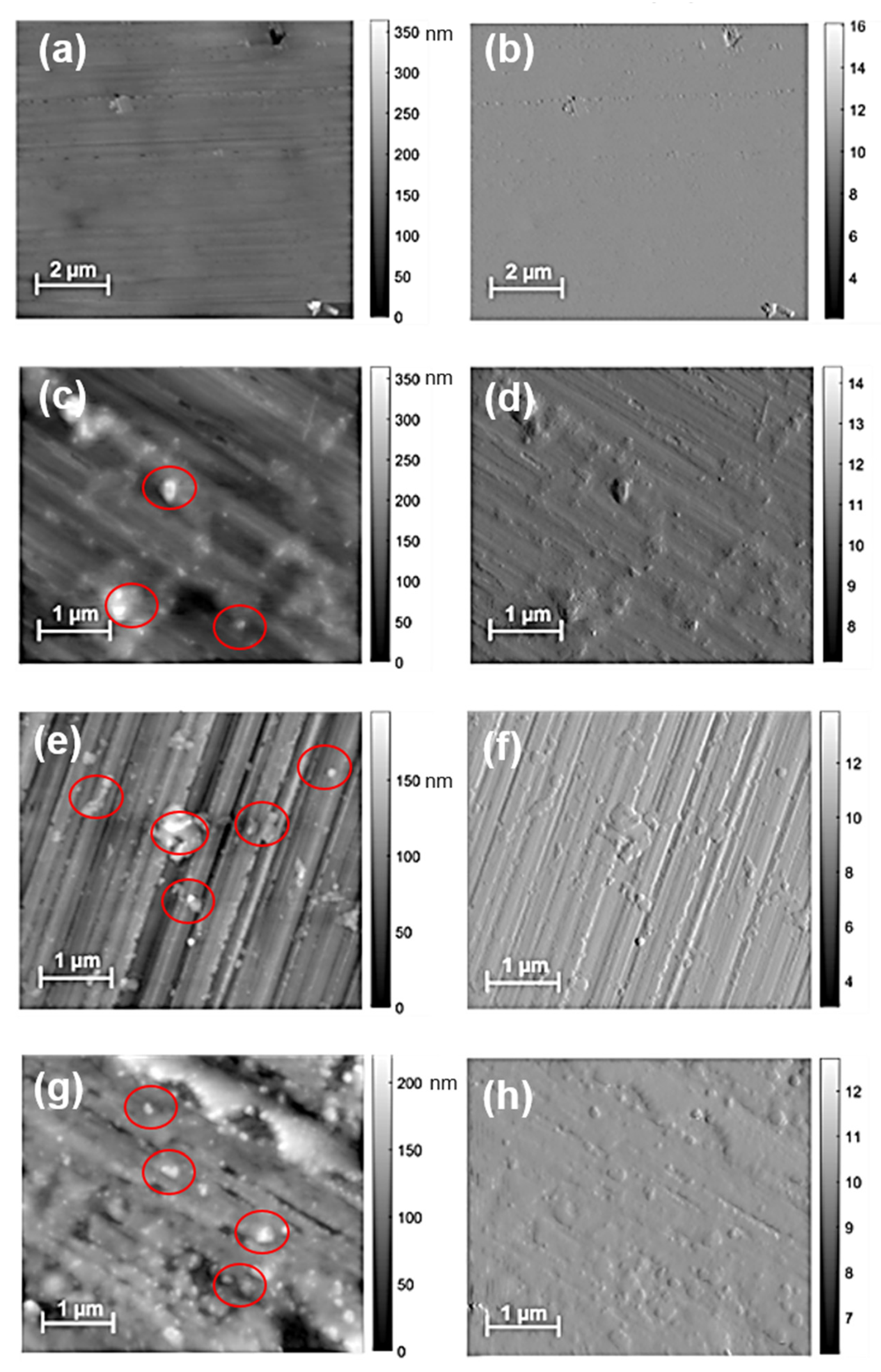 Nanomaterials 12 02604 g003