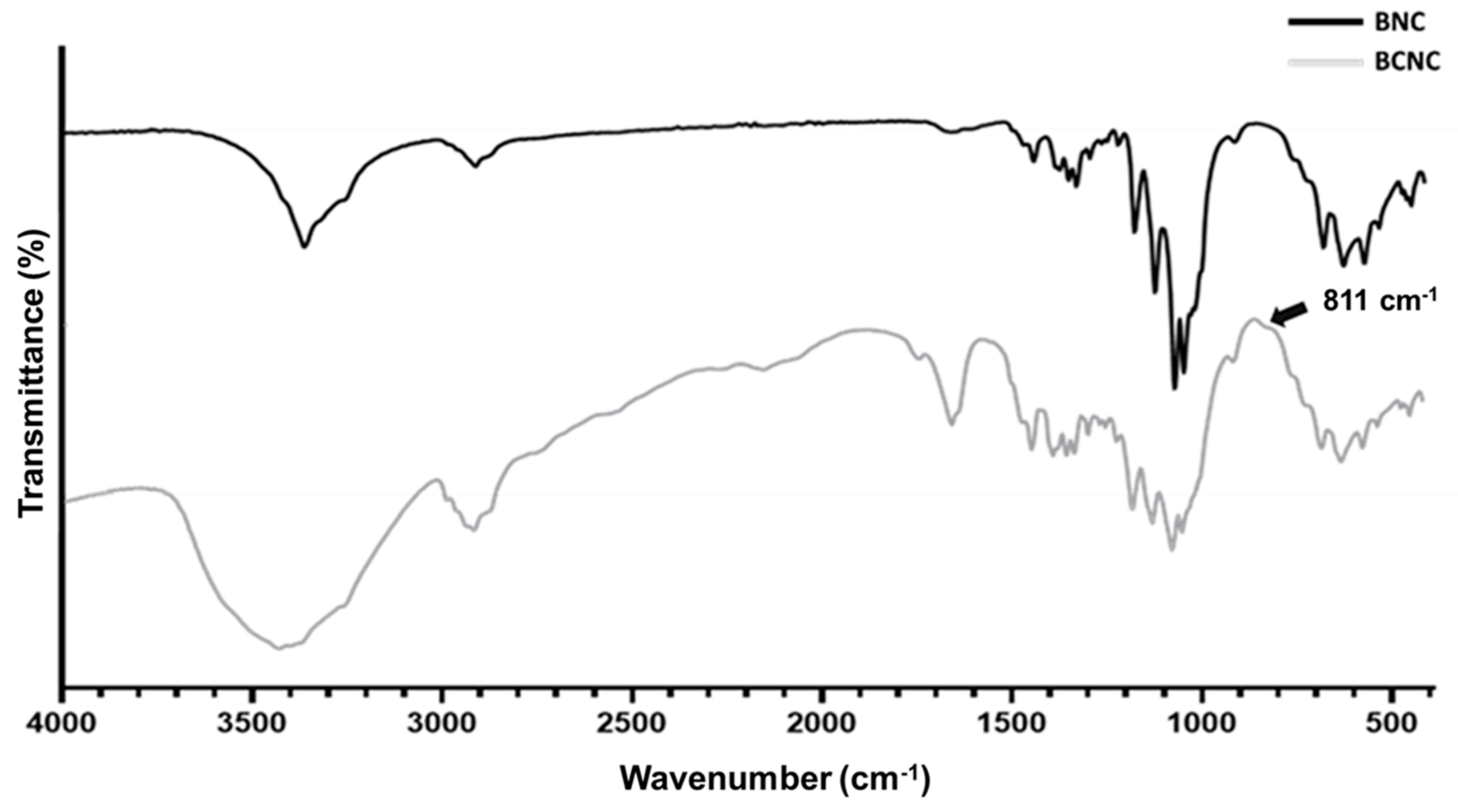 Nanomaterials 12 02605 g001