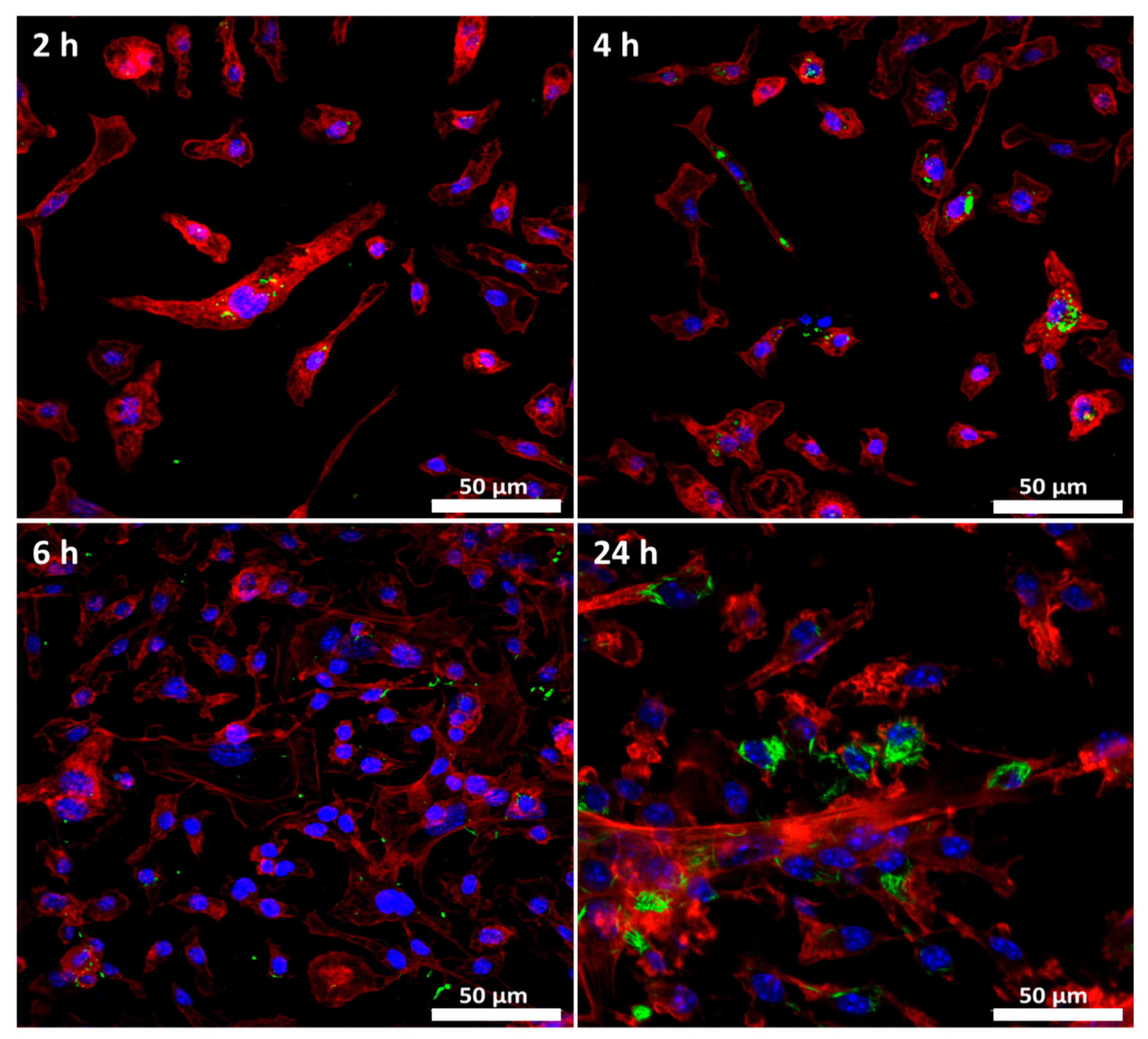 Nanomaterials 12 02605 g008