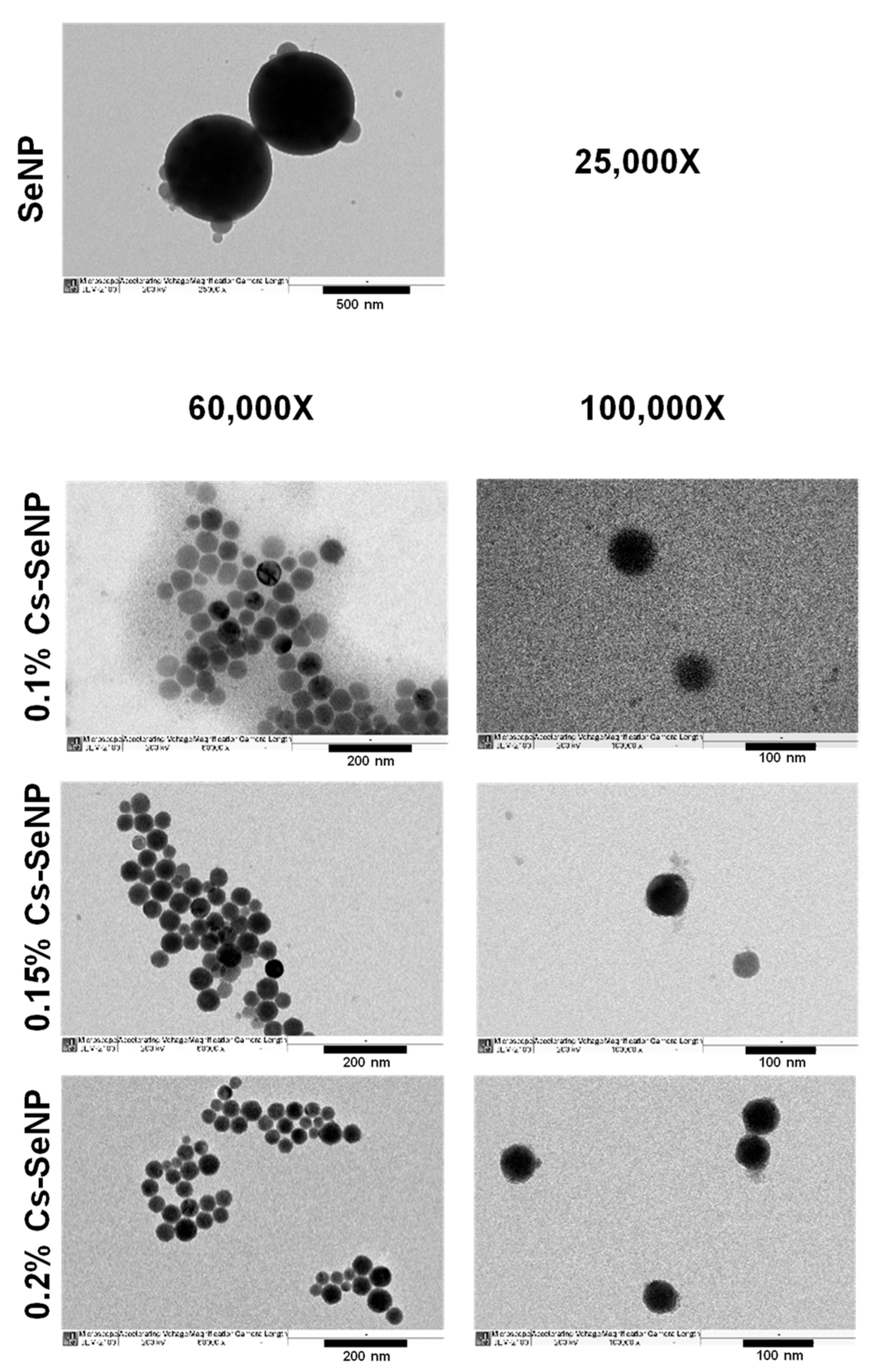 Nanomaterials 12 02606 g001