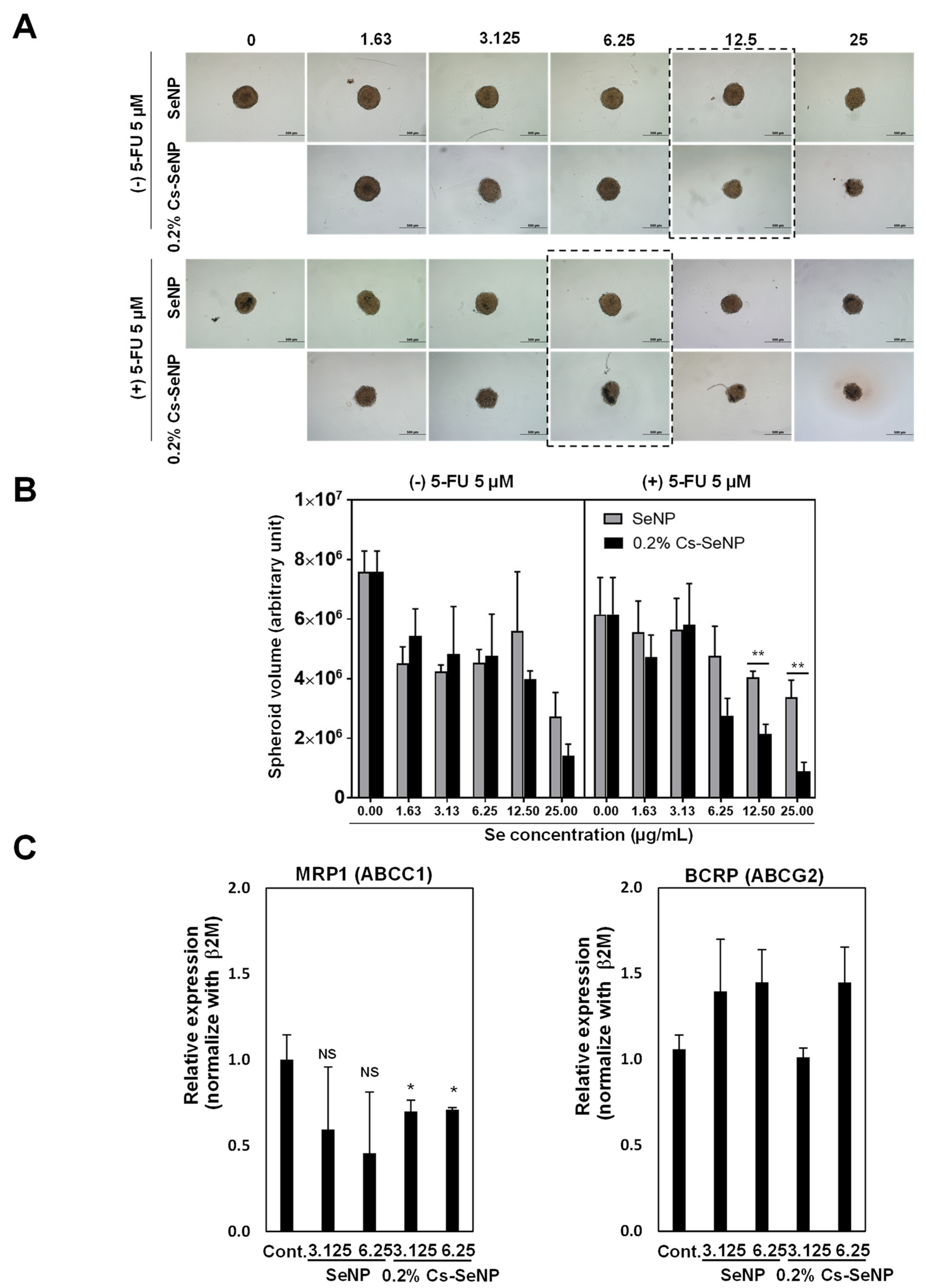 Nanomaterials 12 02606 g004