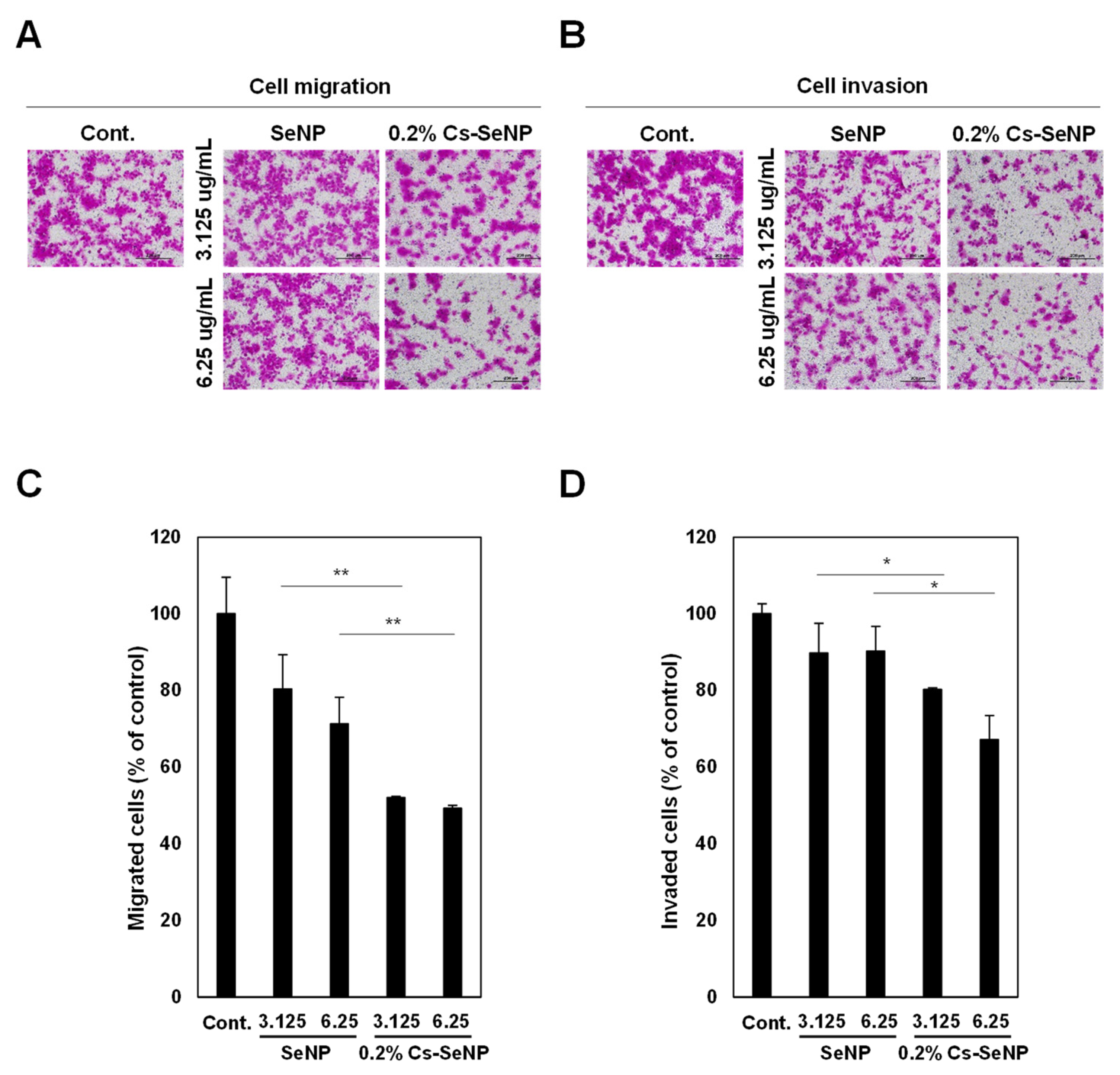 Nanomaterials 12 02606 g005