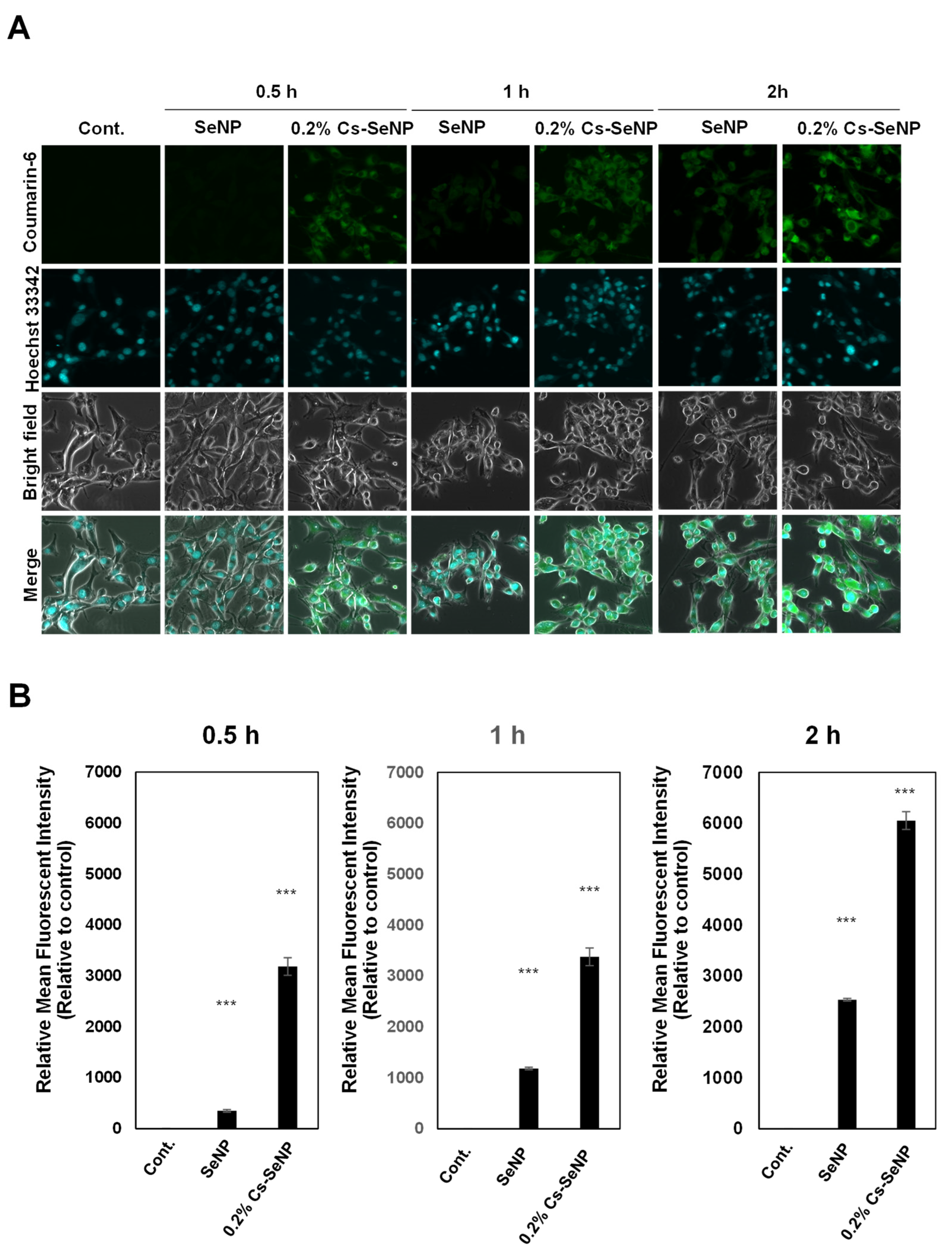 Nanomaterials 12 02606 g007