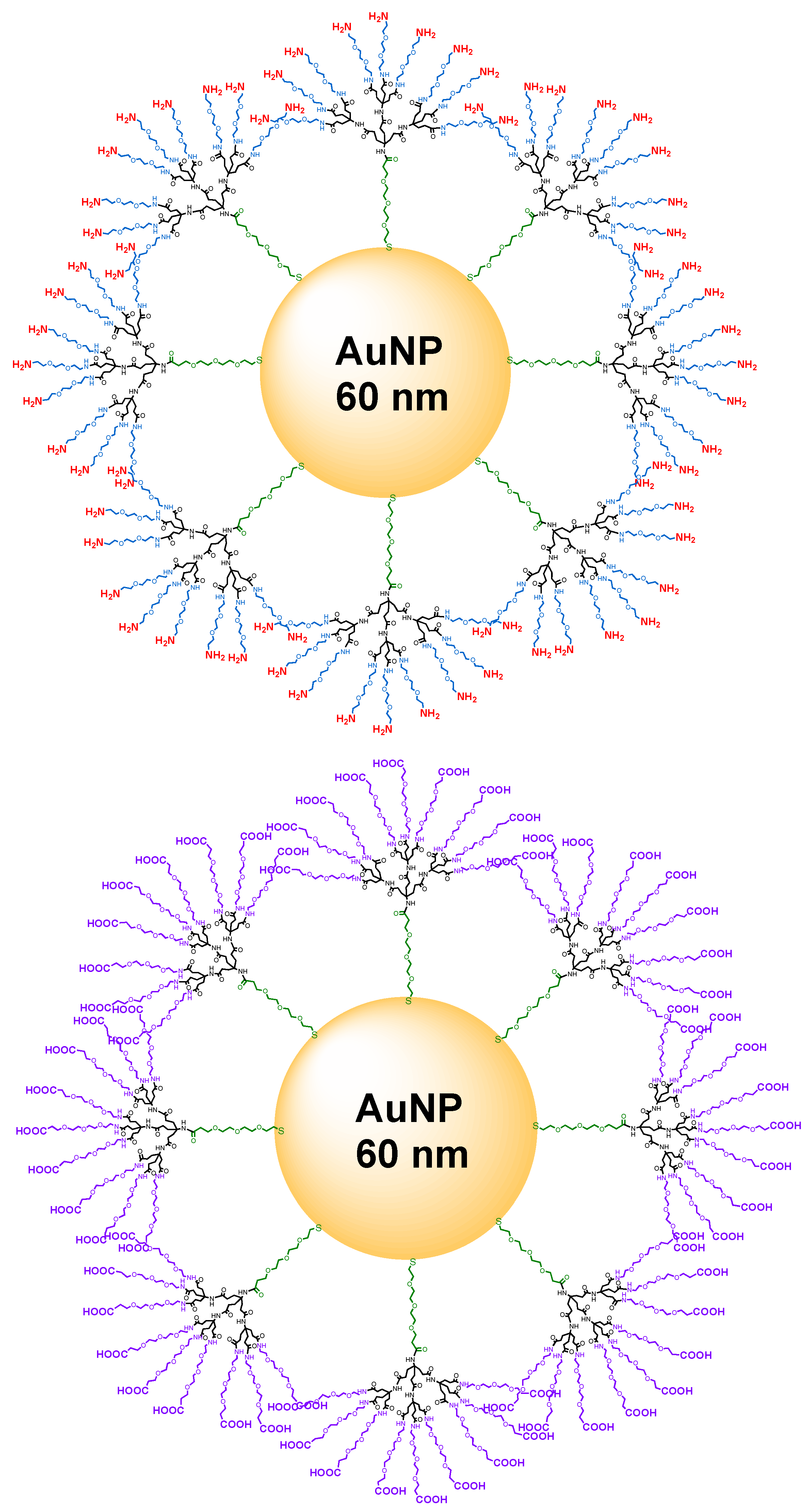 Nanomaterials 12 02610 g001