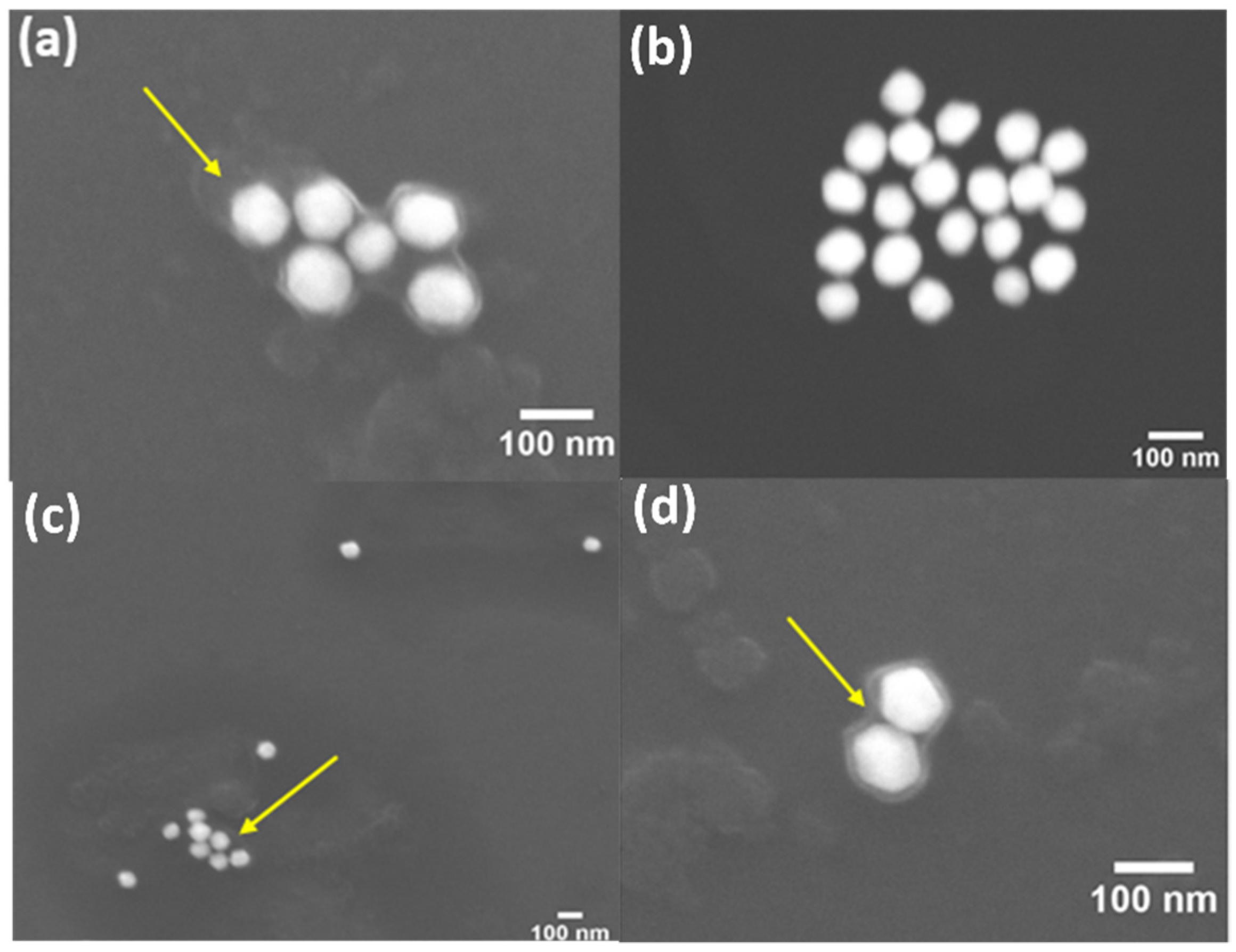 Nanomaterials 12 02610 g003