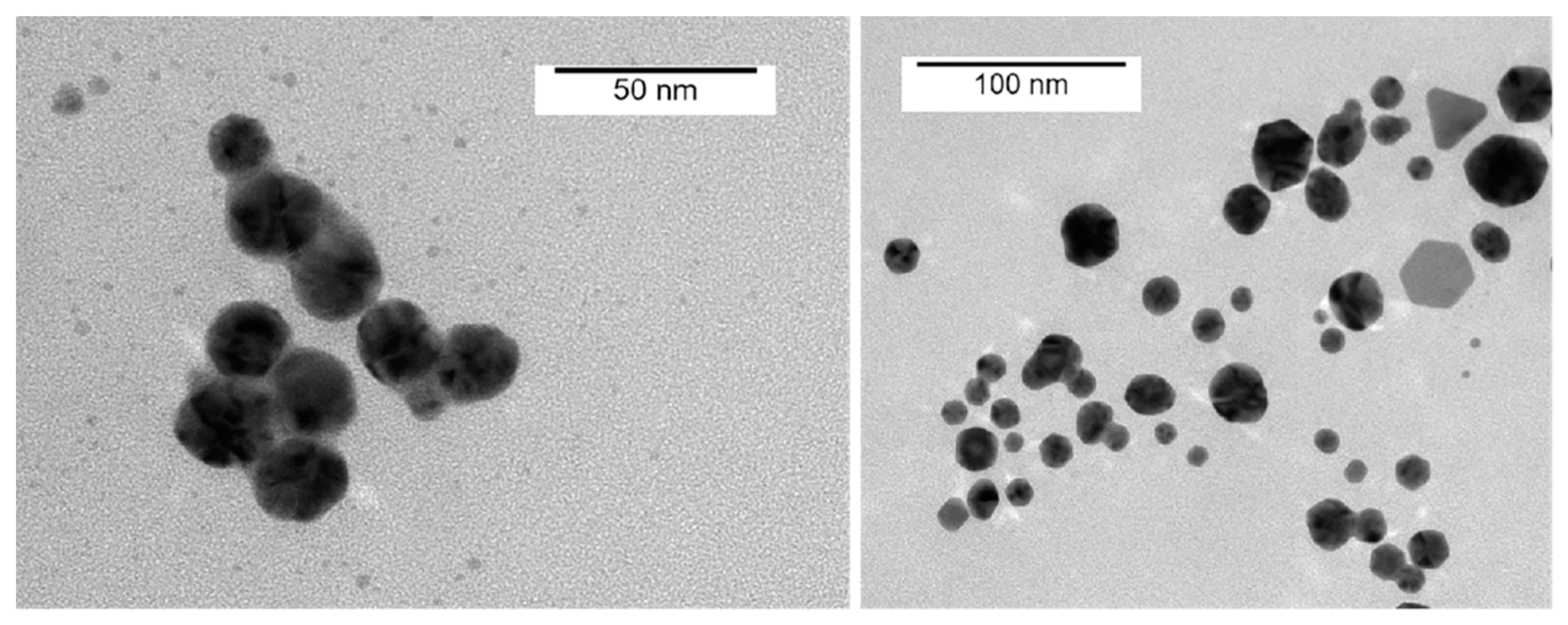 Nanomaterials 12 02636 g003 Nanomaterials 12 02636 g003