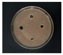 Nanomaterials 12 02636 i001 Nanomaterials 12 02636 i001