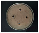 Nanomaterials 12 02636 i002 Nanomaterials 12 02636 i002