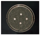 Nanomaterials 12 02636 i004 Nanomaterials 12 02636 i004