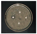 Nanomaterials 12 02636 i005 Nanomaterials 12 02636 i005