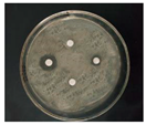 Nanomaterials 12 02636 i006 Nanomaterials 12 02636 i006