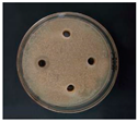 Nanomaterials 12 02636 i007 Nanomaterials 12 02636 i007
