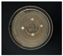 Nanomaterials 12 02636 i010 Nanomaterials 12 02636 i010
