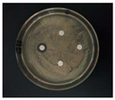 Nanomaterials 12 02636 i011 Nanomaterials 12 02636 i011