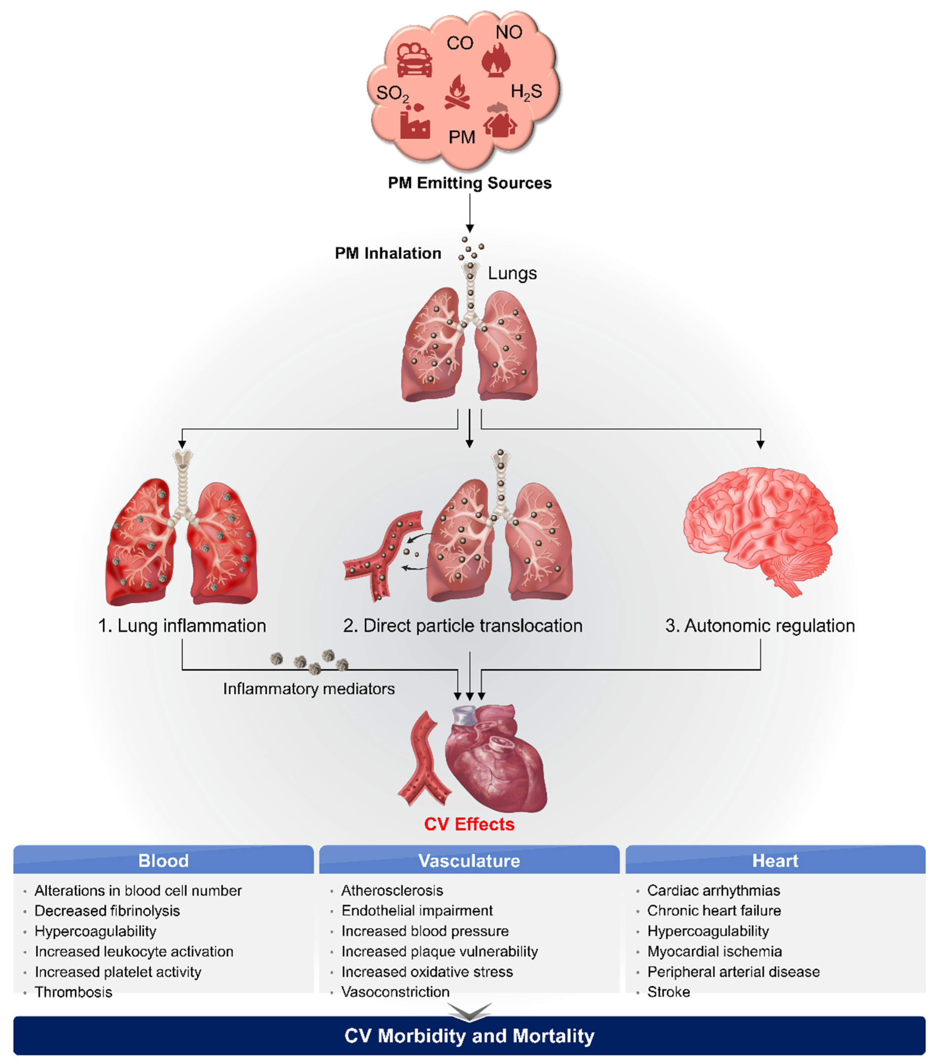 Nanomaterials 12 02656 g001