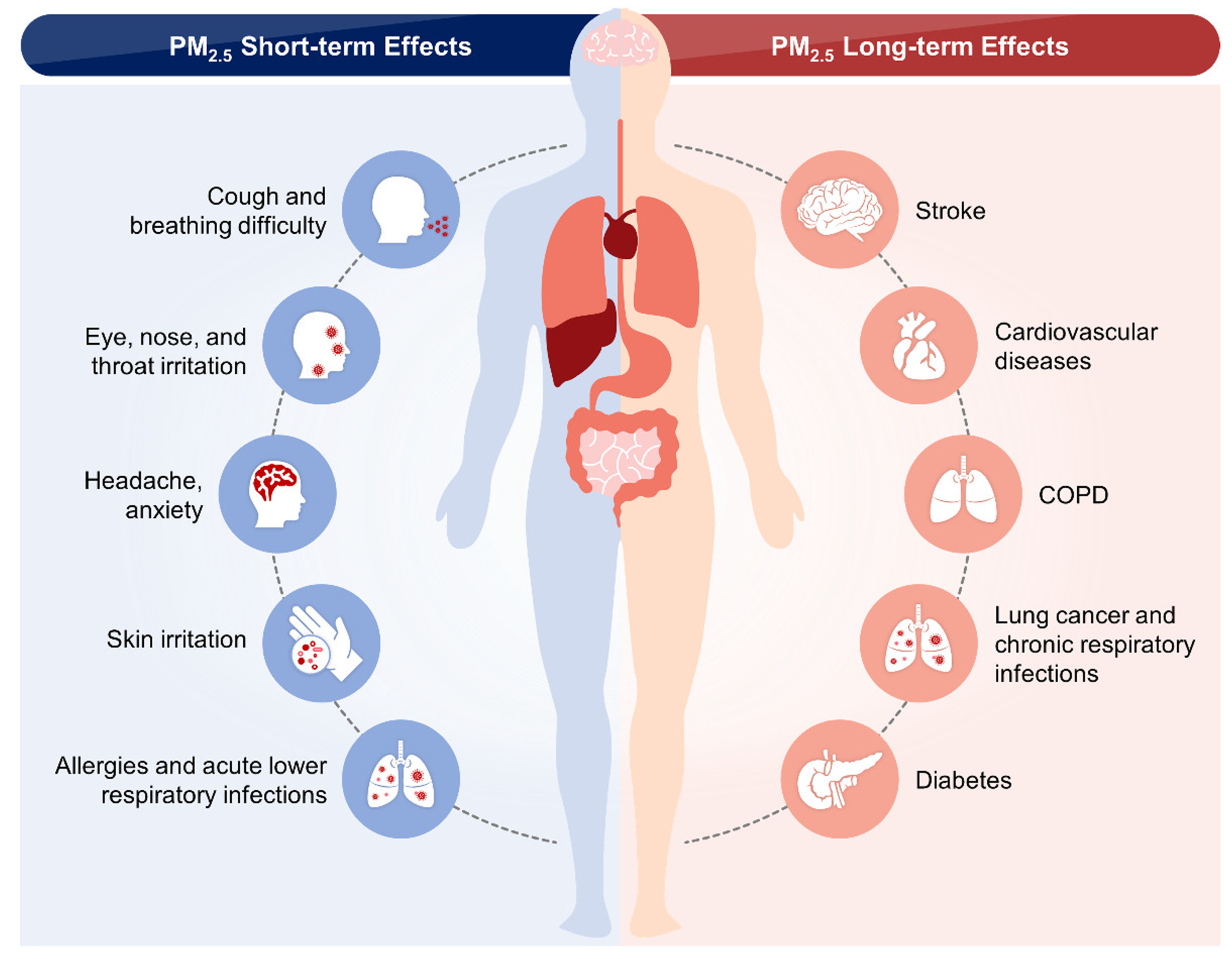 Nanomaterials 12 02656 g002