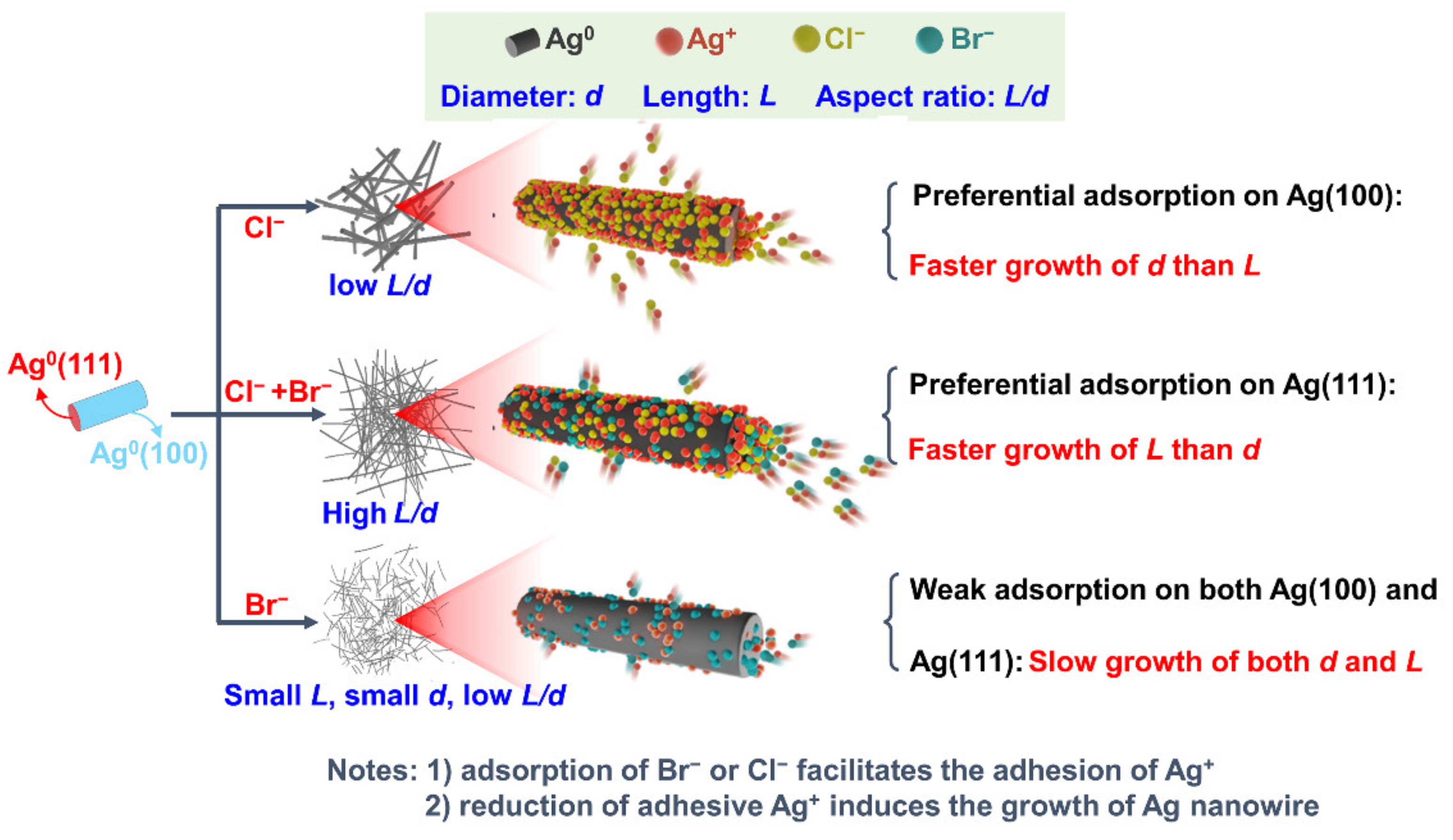 Nanomaterials 12 02681 g001 Nanomaterials 12 02681 g001