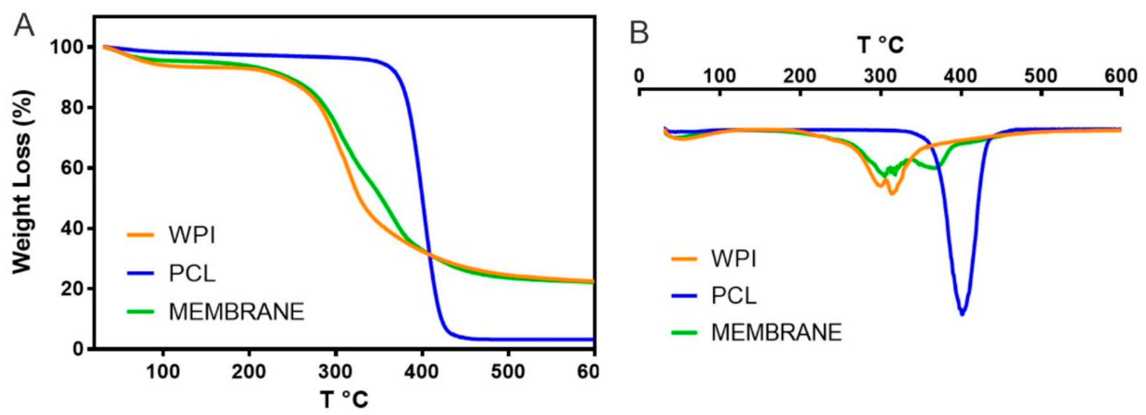 Nanomaterials 12 02744 g007